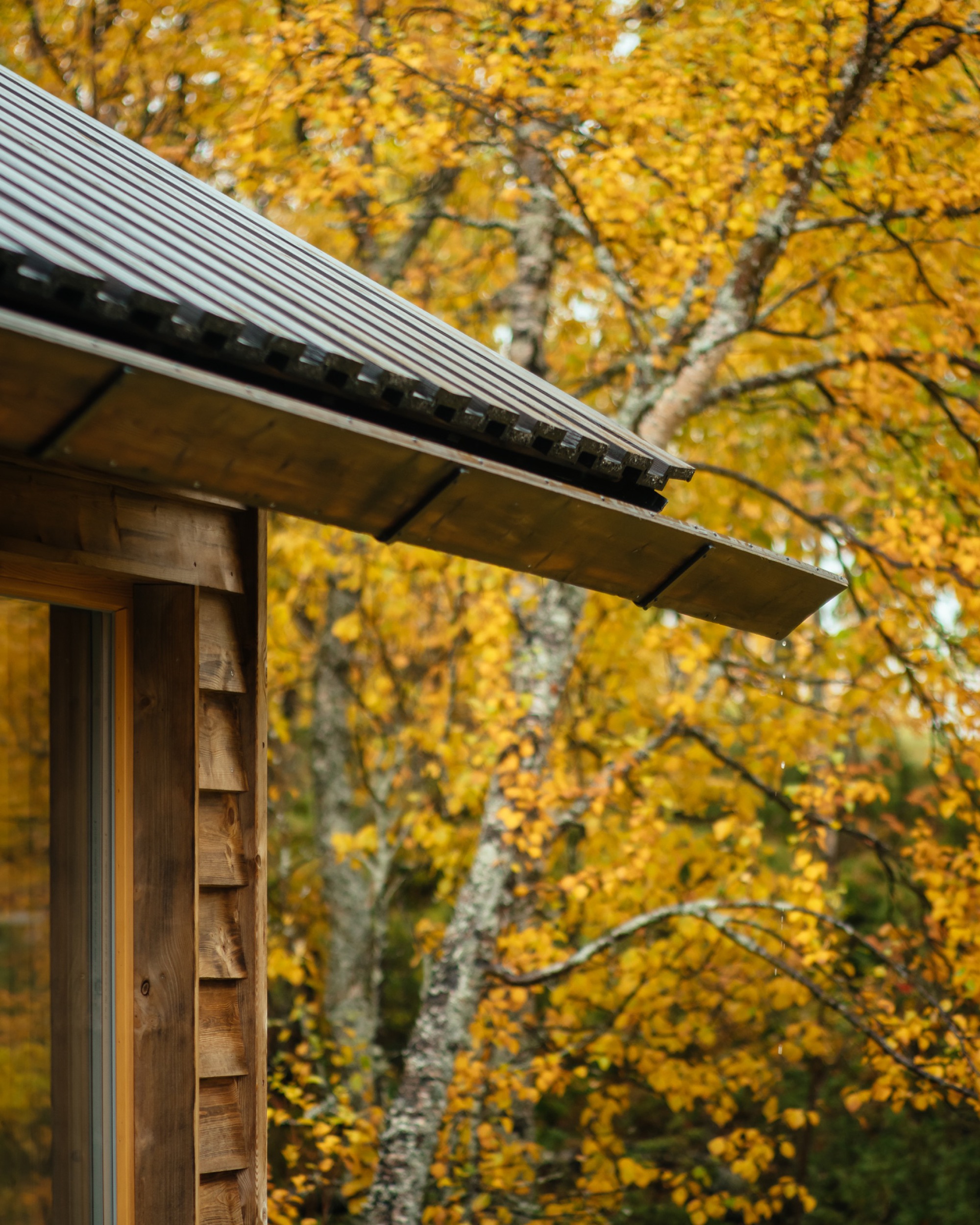 Roof overhang detail with corrugated metal soffit and timber column against yellow autumn leaves