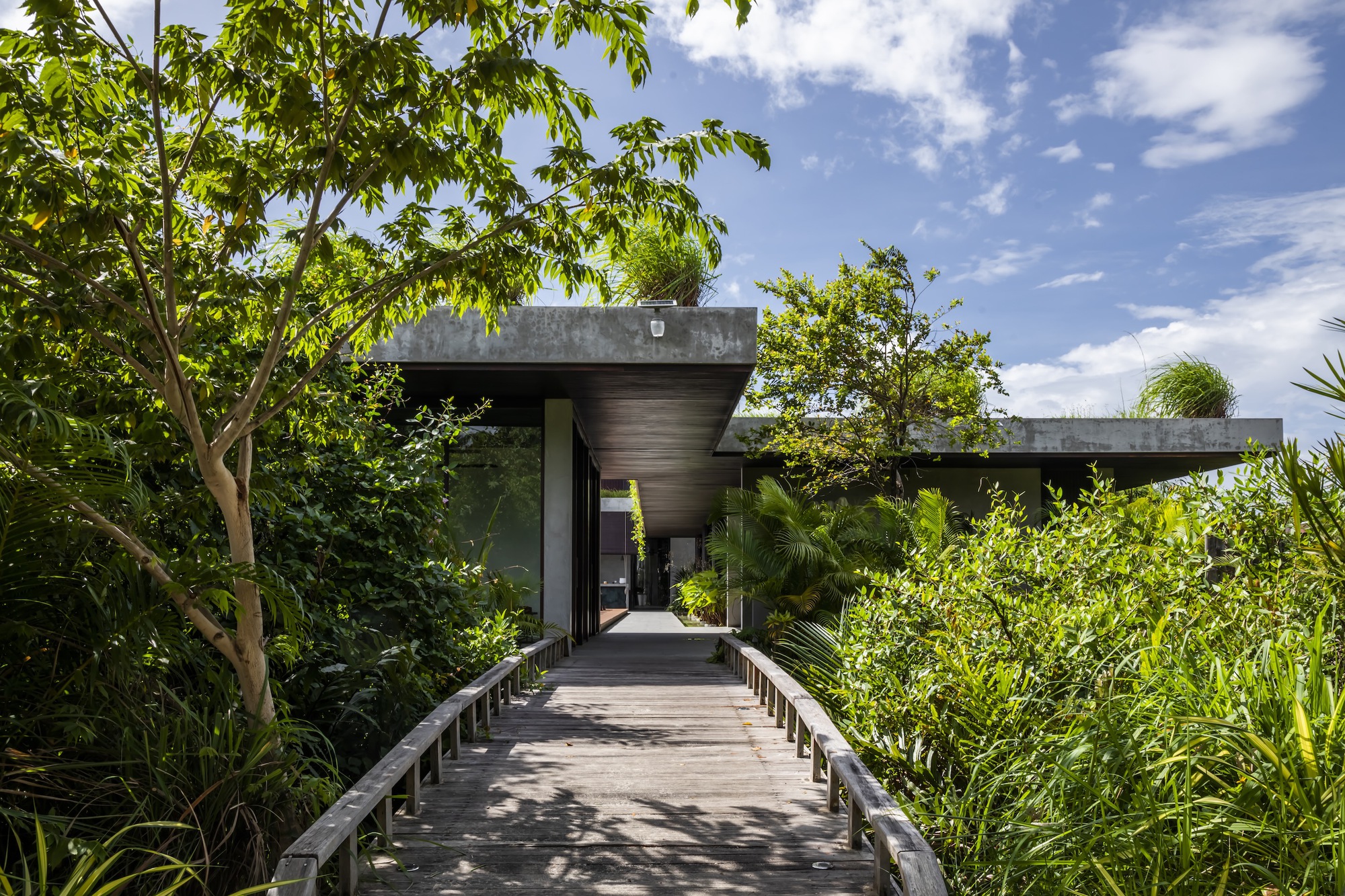 Timber boardwalk leading through dense planting to a dark concrete entrance canopy under blue sky