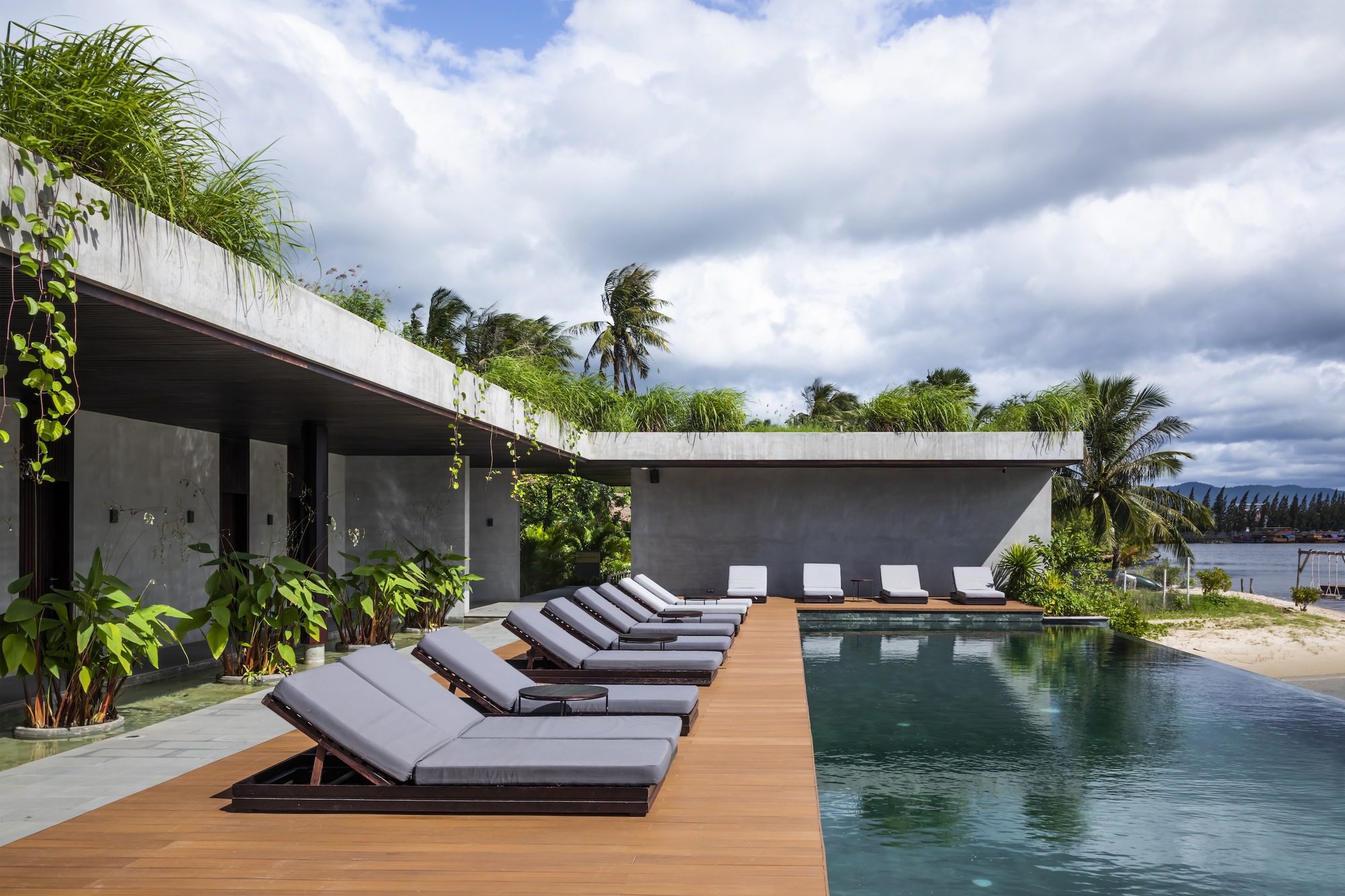 Pool deck with timber planks and loungers beside concrete volumes with green roofs and palms