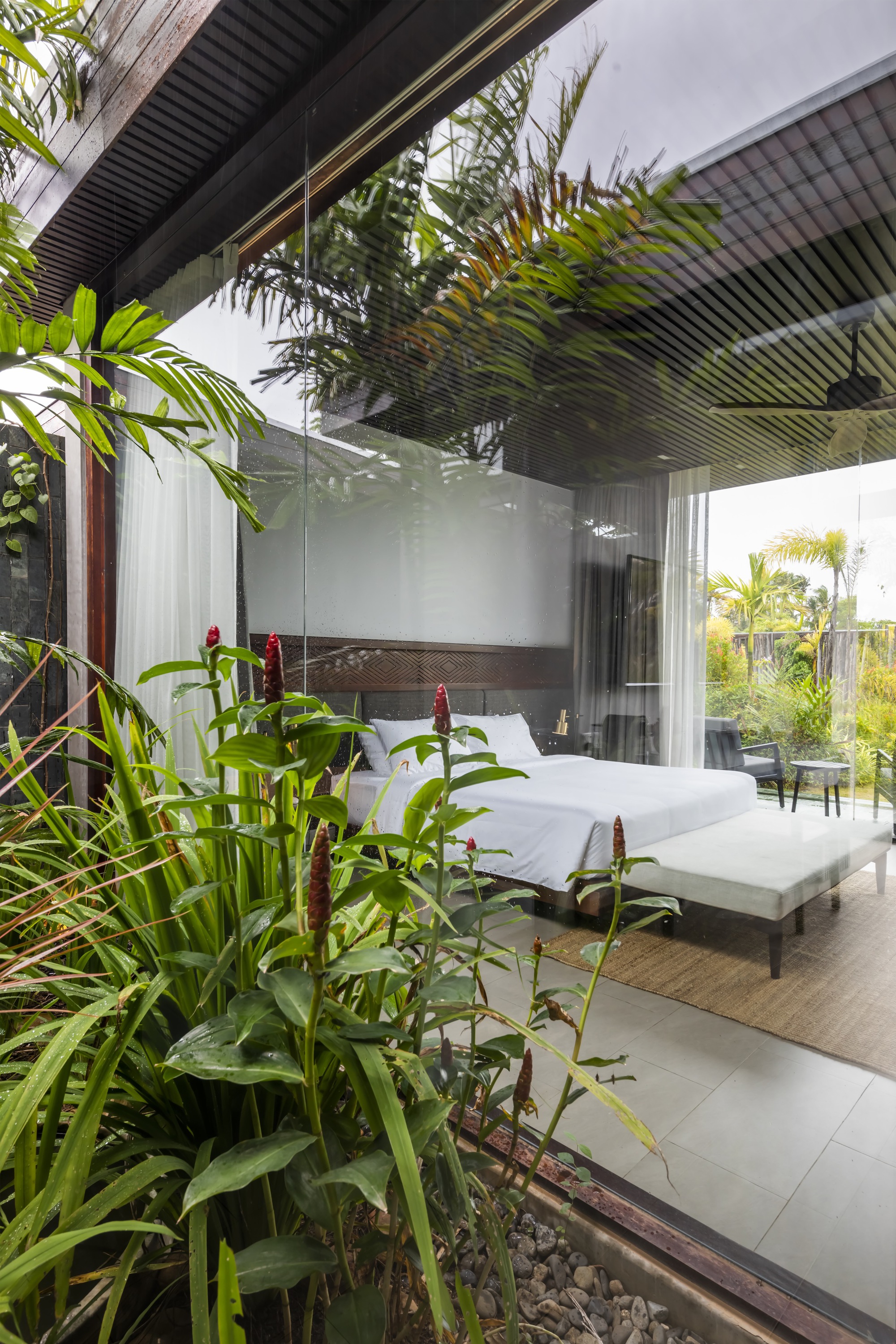 Exterior view of bedroom through planted courtyard with red flowering ginger in foreground