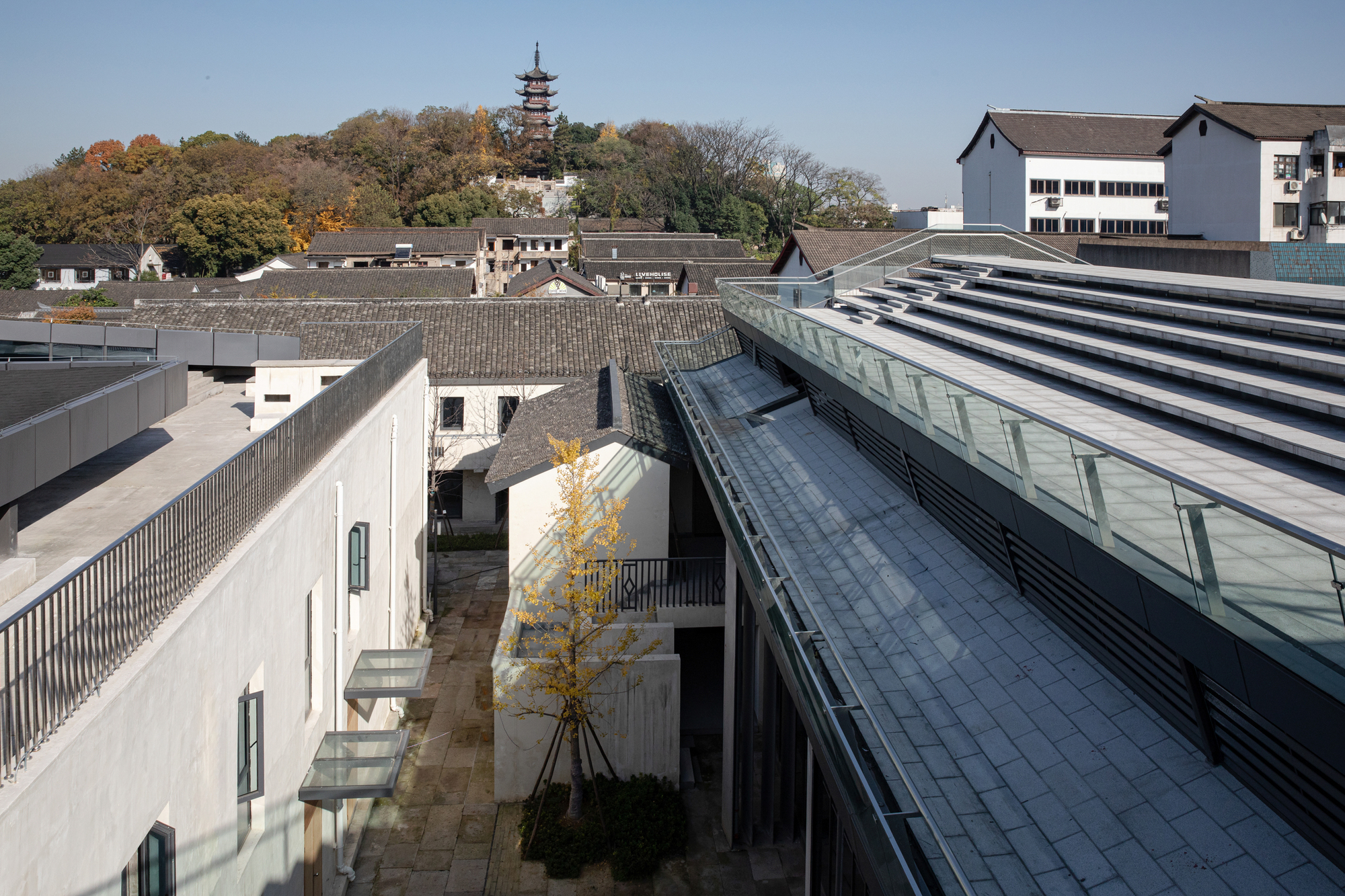View across sloped glass roofs and courtyard with single tree toward traditional tile roofs