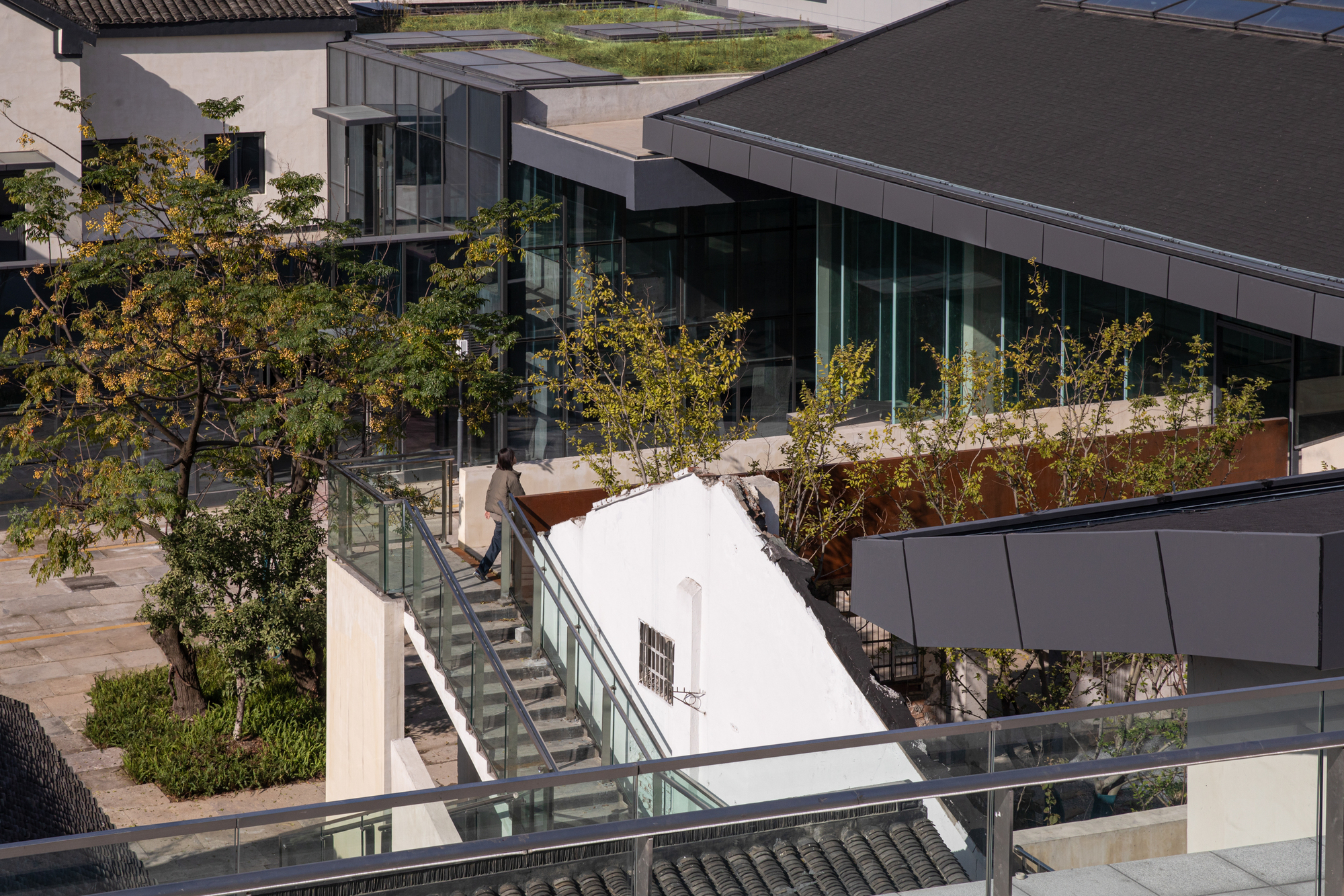 Glass-railed staircase bridging rooftop terraces planted with young trees in afternoon sunlight