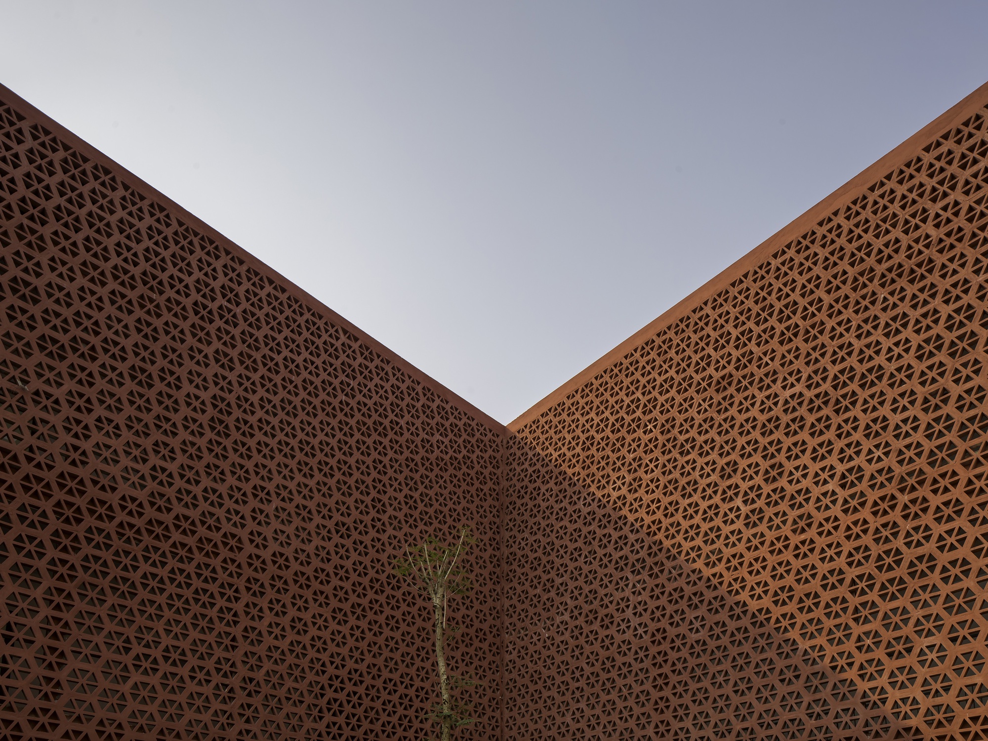 Courtyard view looking up at converging perforated terracotta screen walls with a small tree at the corner