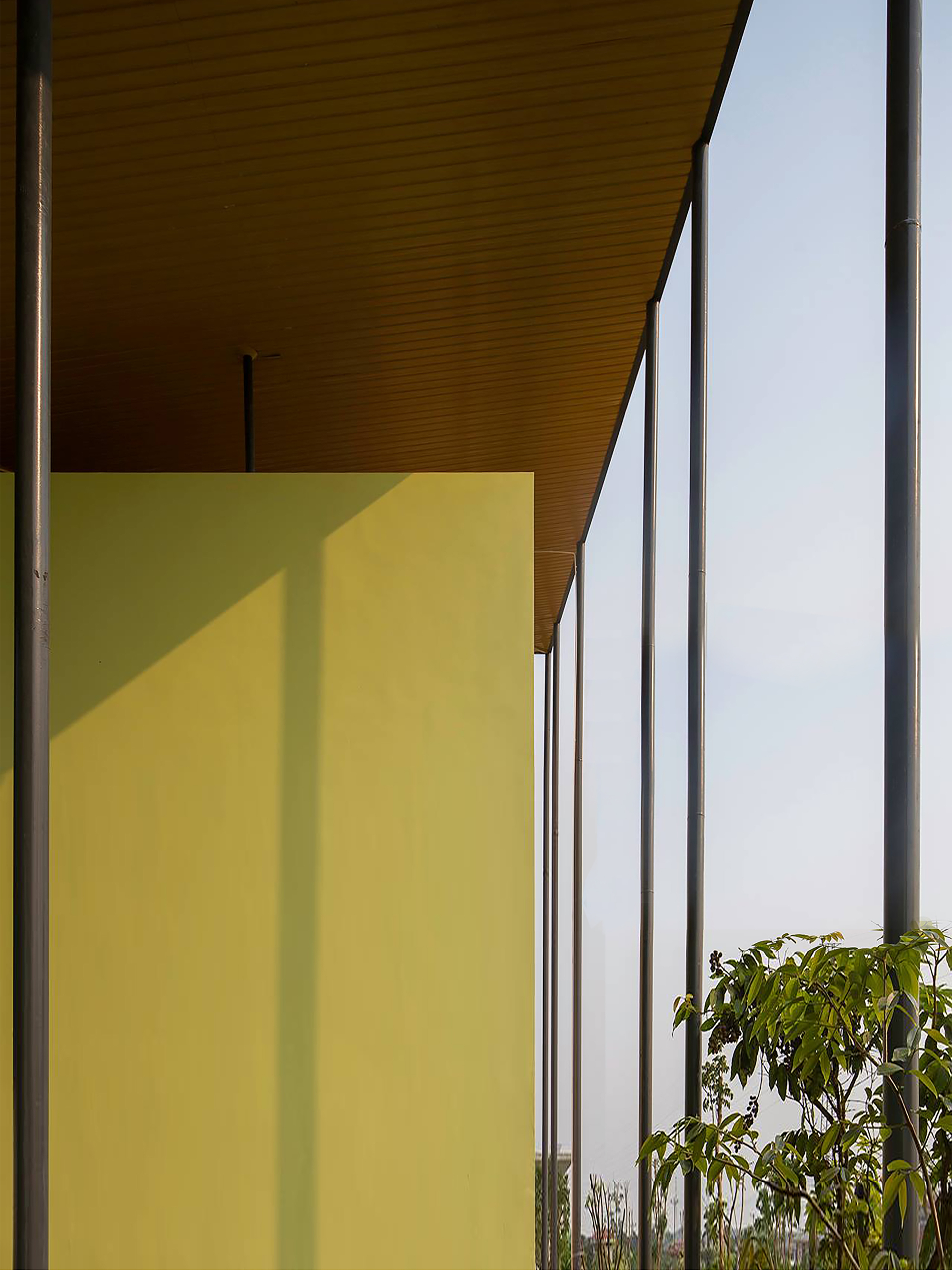Yellow stucco wall under a deep overhanging soffit with warm wood ceiling panels and young trees