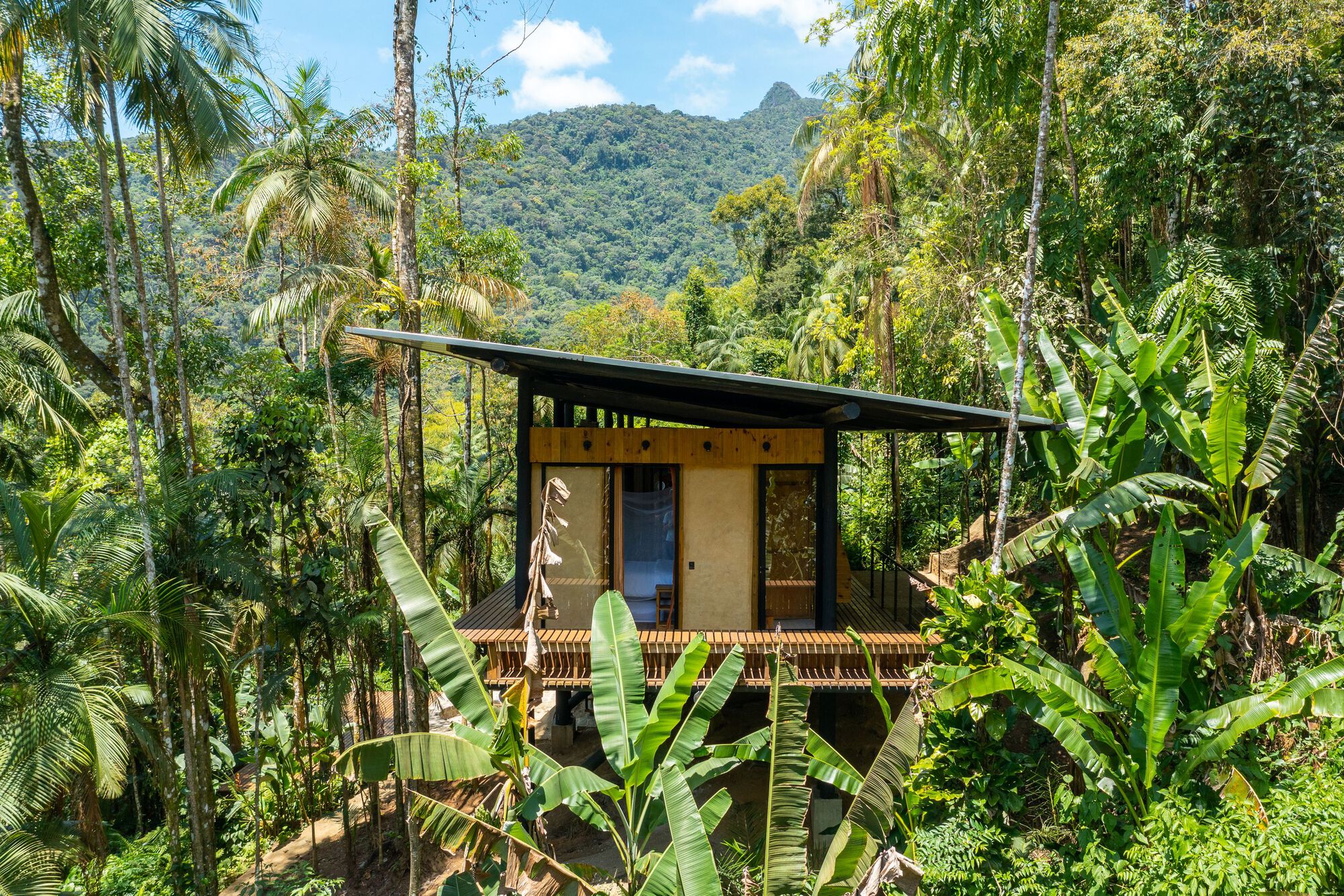 Elevated timber pavilion with wraparound slatted deck surrounded by banana plants and palms