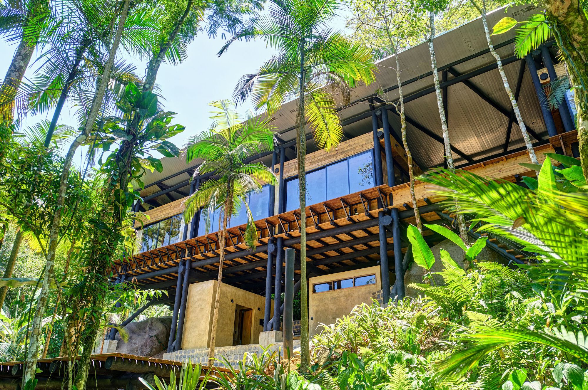Upward view of timber balcony with diagonal bracing and glass wall framed by palm fronds