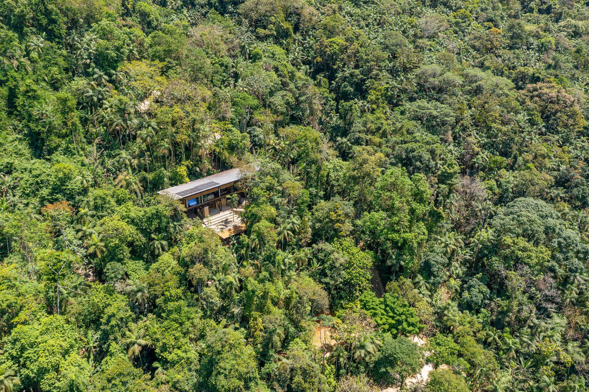 Aerial view of the low-slung roof nestled within dense tropical forest canopy