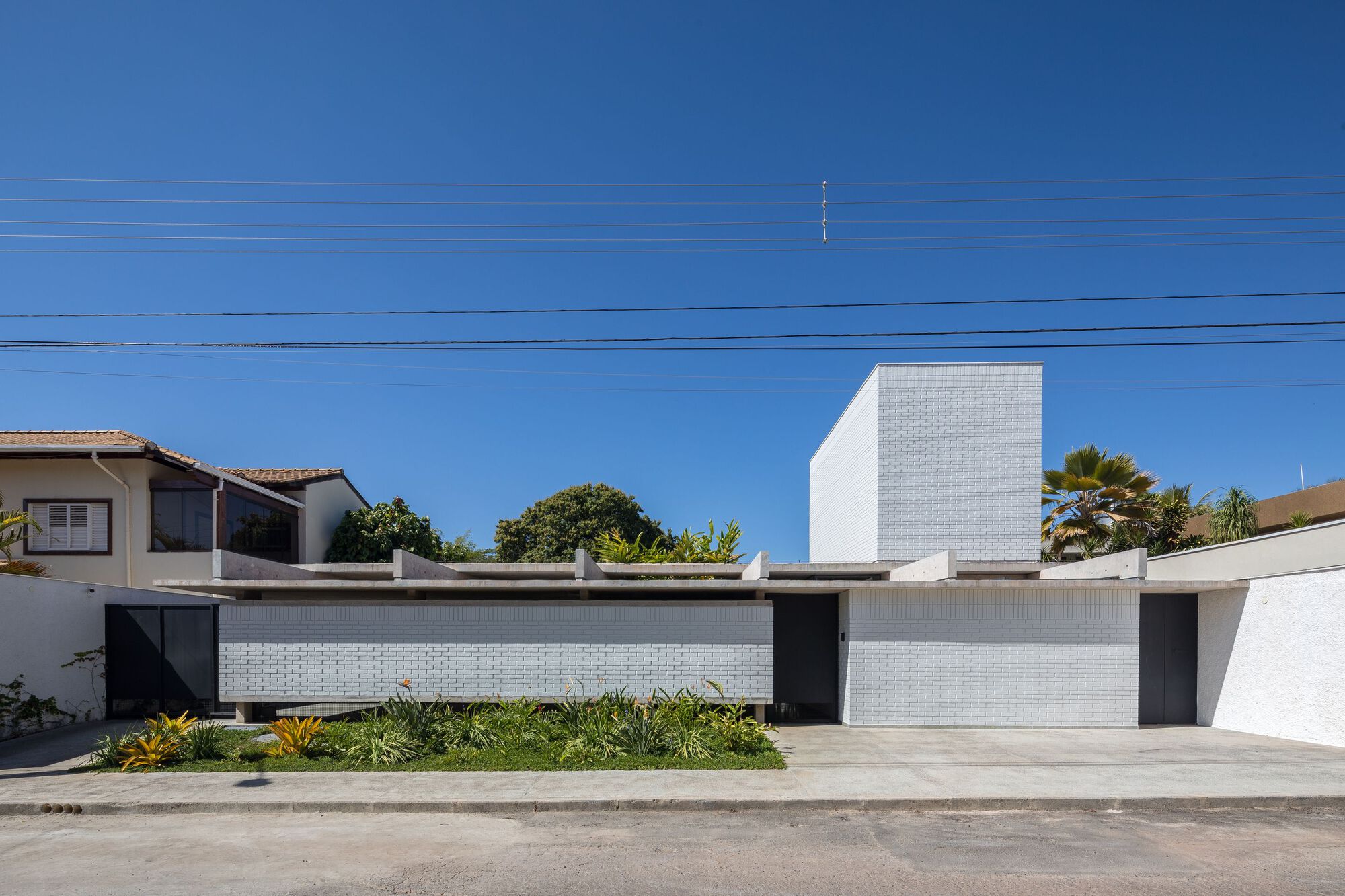 Street view of the white brick facade with planted bed and palm trees under clear blue sky