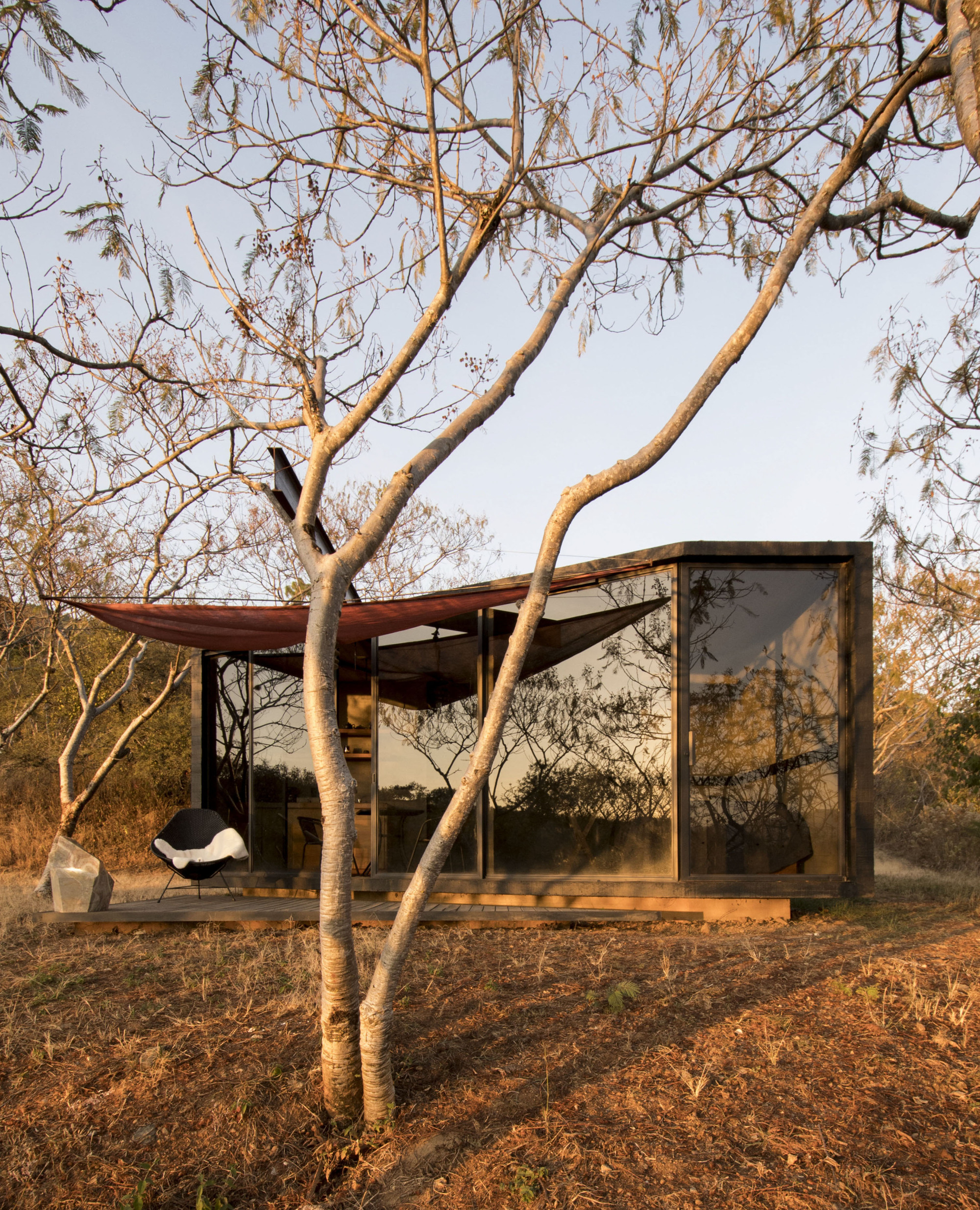 Glass pavilion with overhanging roof and timber deck framed by bare trees in golden hour light
