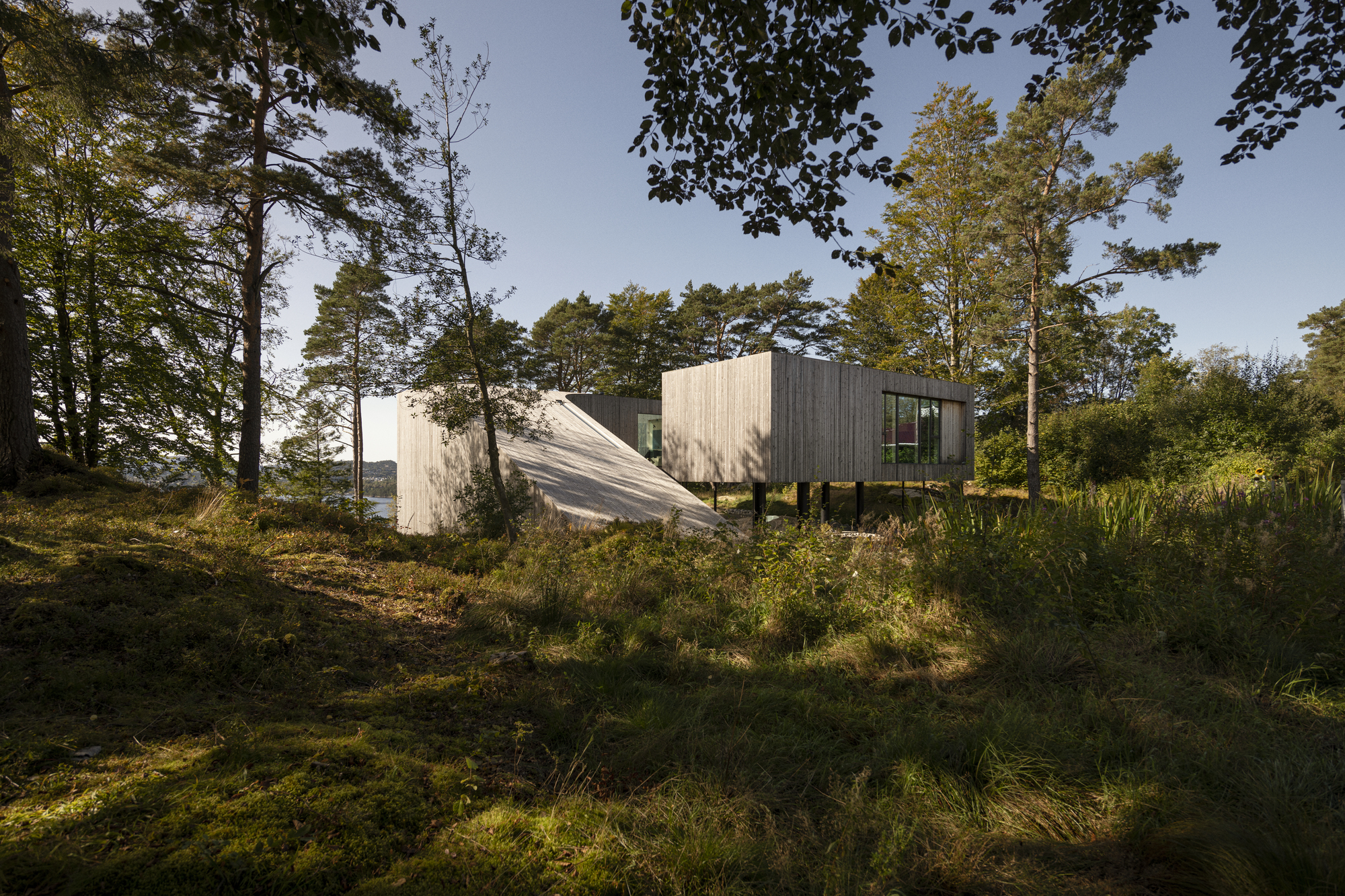 Elevated timber-clad volumes on steel columns nestled among pine trees on a mossy hillside