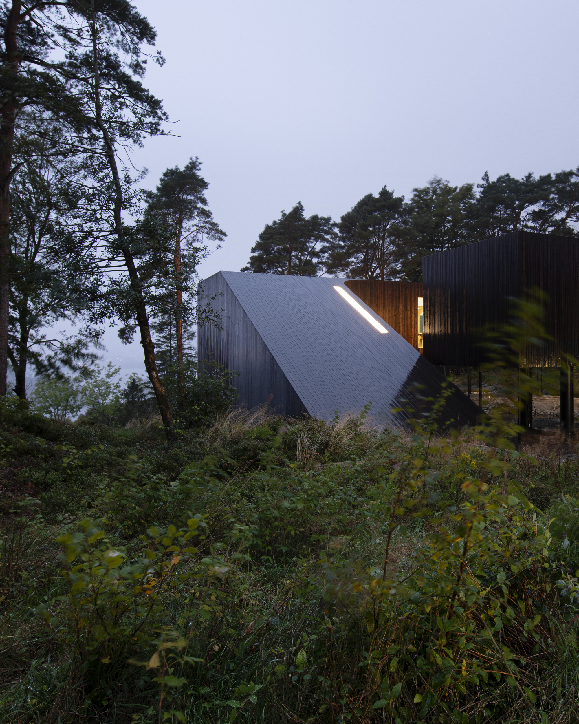 Angled timber-clad roof rising from the forest floor with warm interior light at twilight