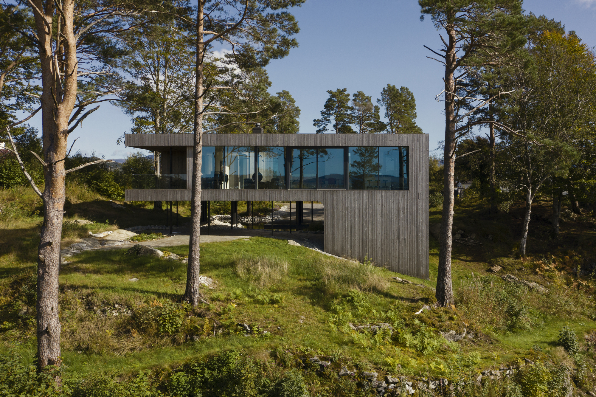 Elevated timber house with continuous glazed band framed by pine and birch trees on rocky terrain
