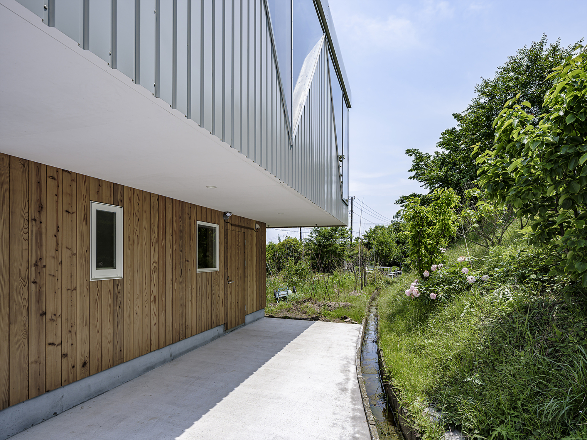 Side view showing the cantilevered upper volume with timber base and overgrown vegetation beside the pathway