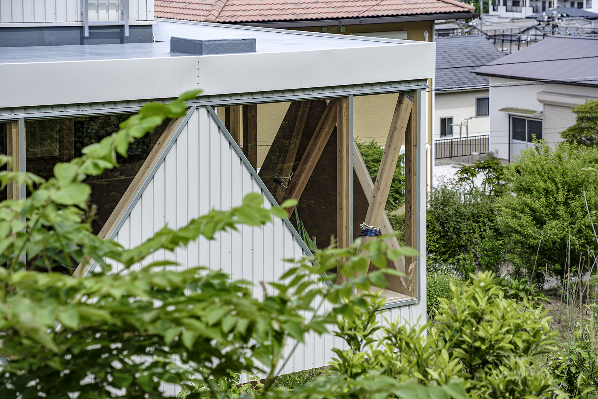 White corrugated metal facade with exposed diagonal timber bracing visible through a glazed opening surrounded by vegetation