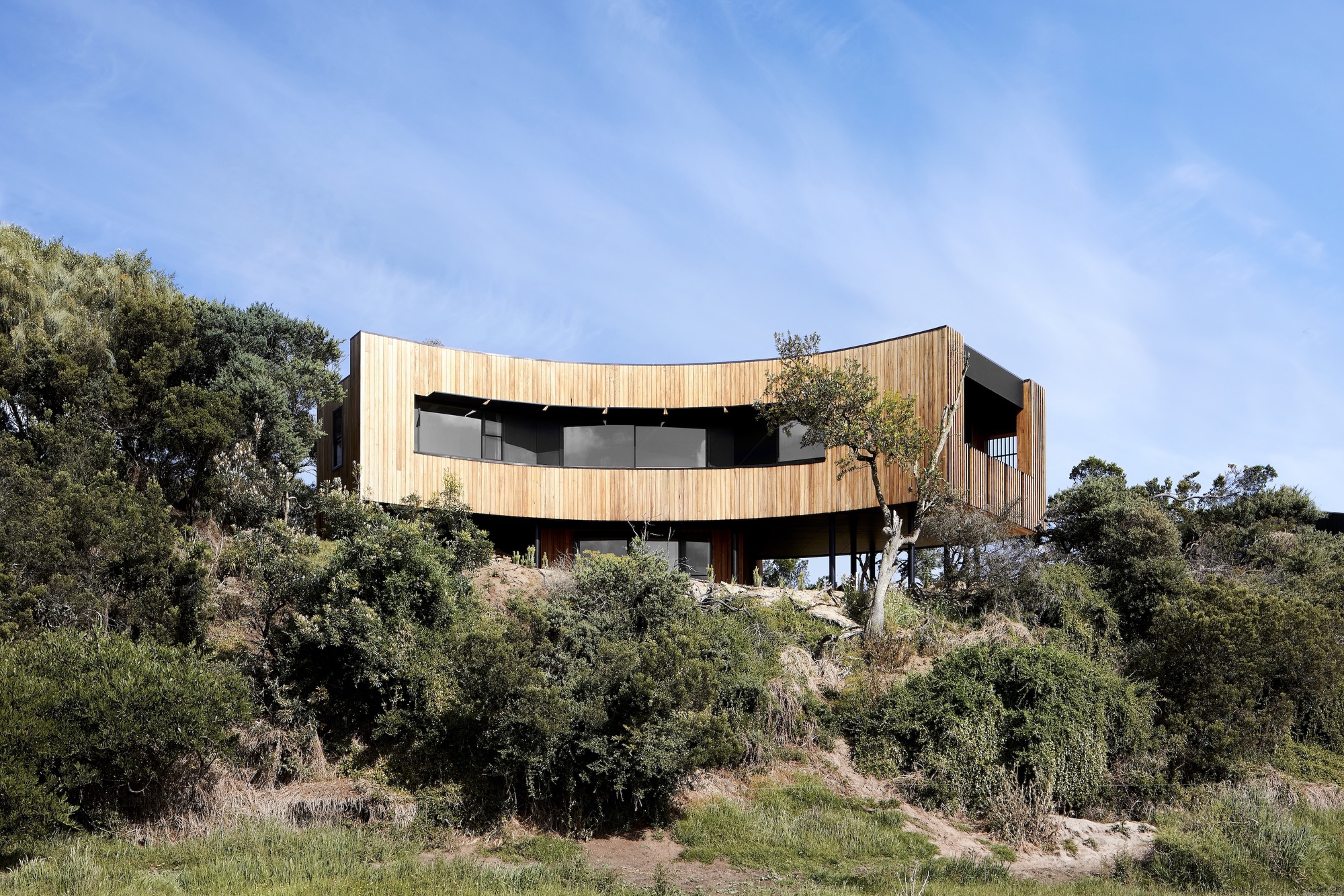 Curved timber-clad facade elevated on pilotis above native vegetation on a hillside
