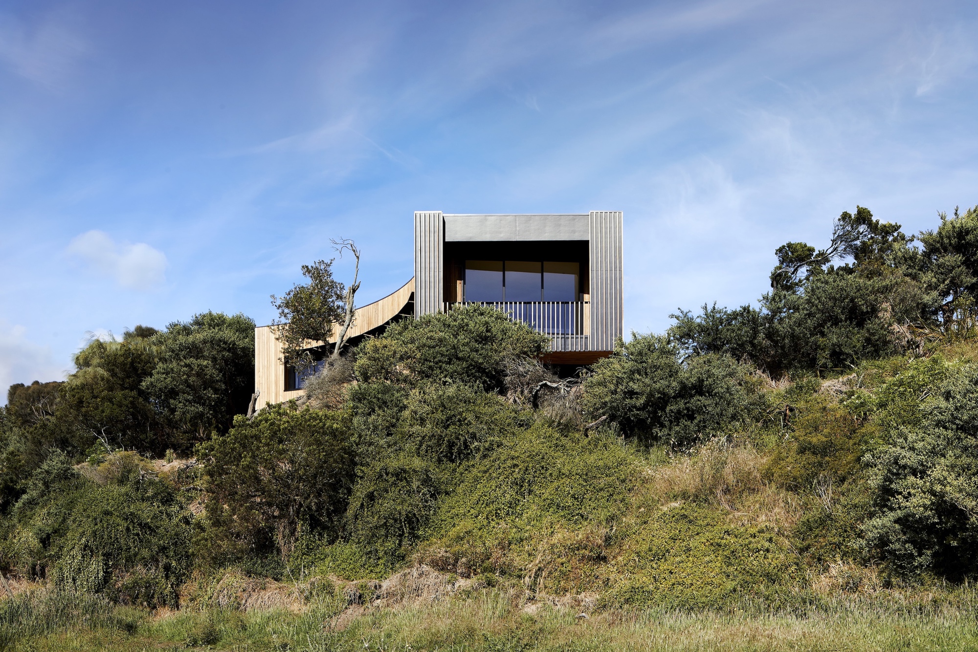 Upper timber volume with vertical cladding rising above dense coastal scrub and trees