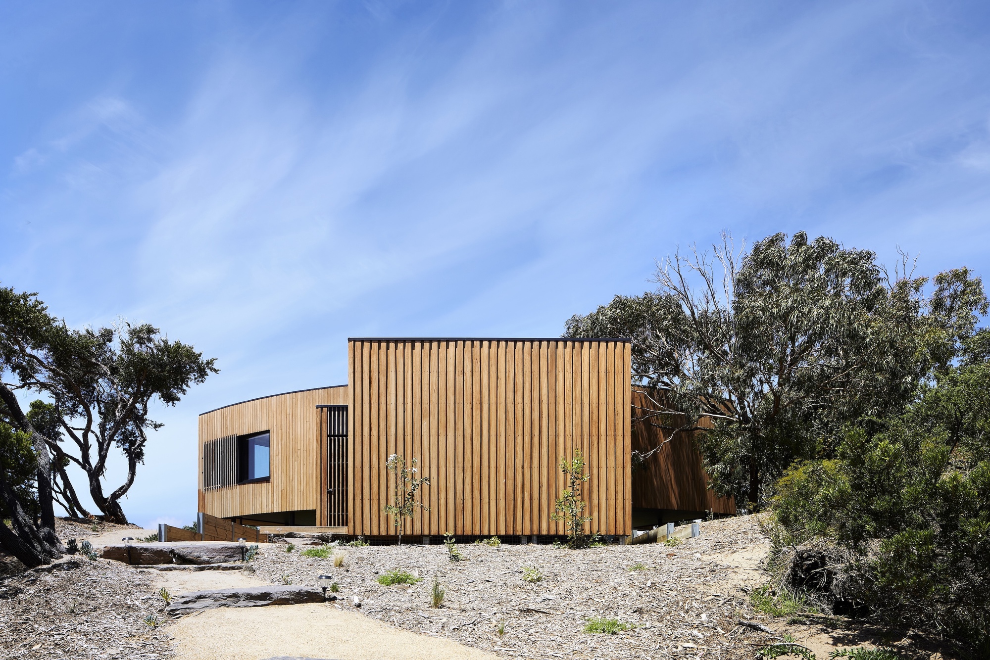 Vertical timber cladding wrapping the facade with young trees planted in gravel at the entry path