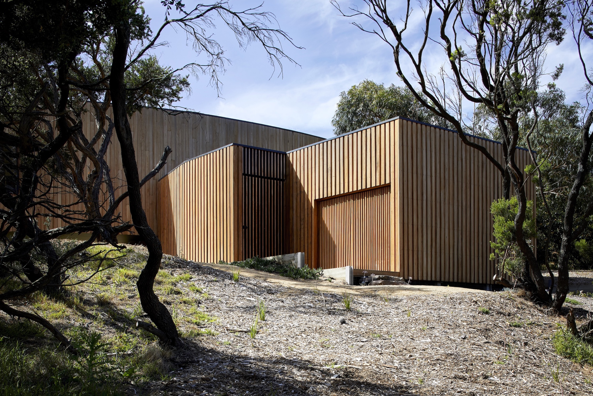 Angular volumes clad in vertical timber battens nestled among native trees on sloping terrain
