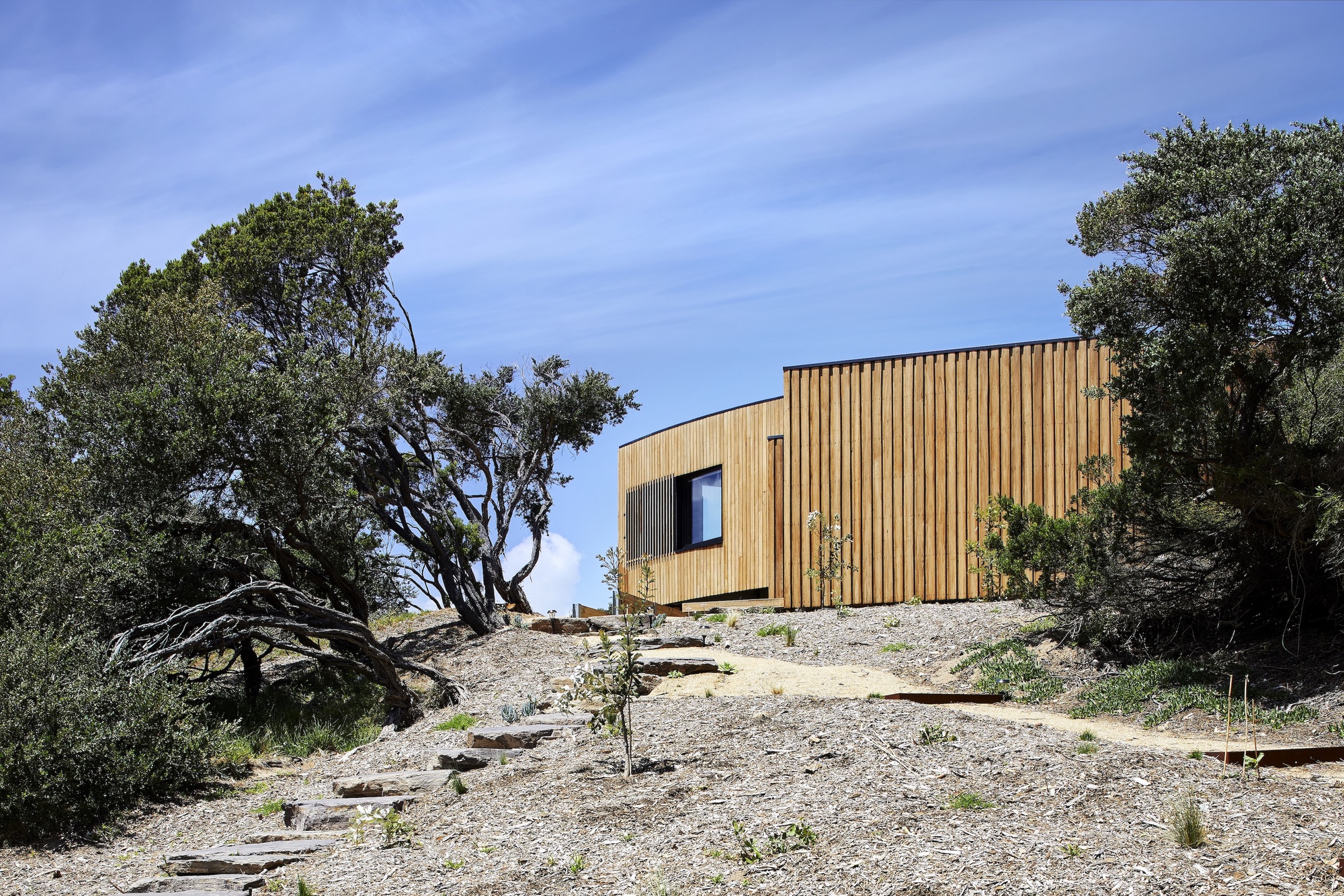 Vertical timber-clad volume perched on a gravelly slope with wind-shaped trees flanking both sides