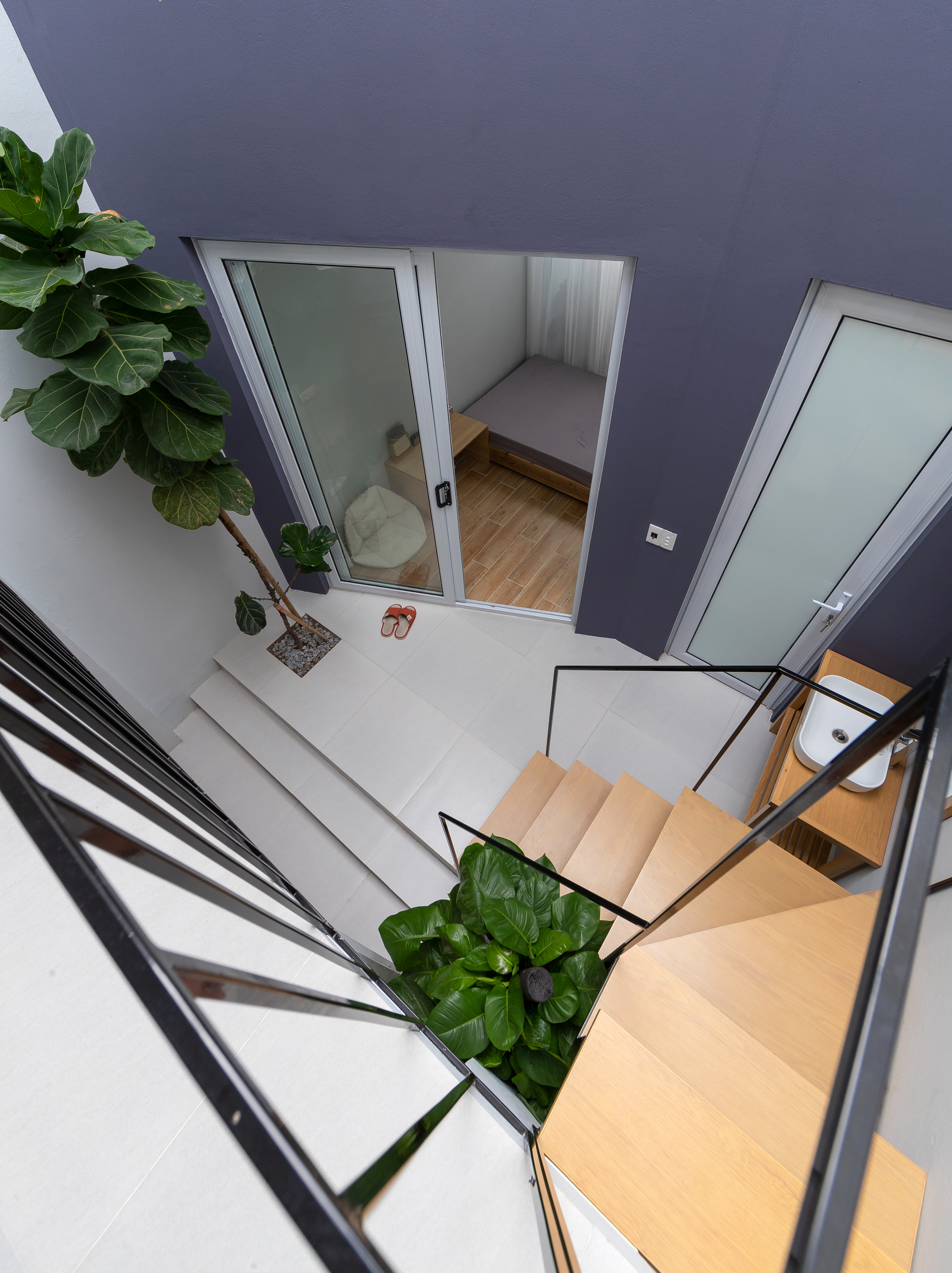 View down timber staircase with black steel railing and potted plants flanking the landing