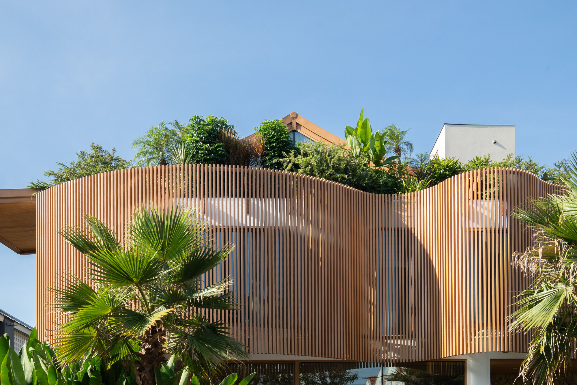 Curved vertical timber slat screen with rooftop garden and palms in foreground