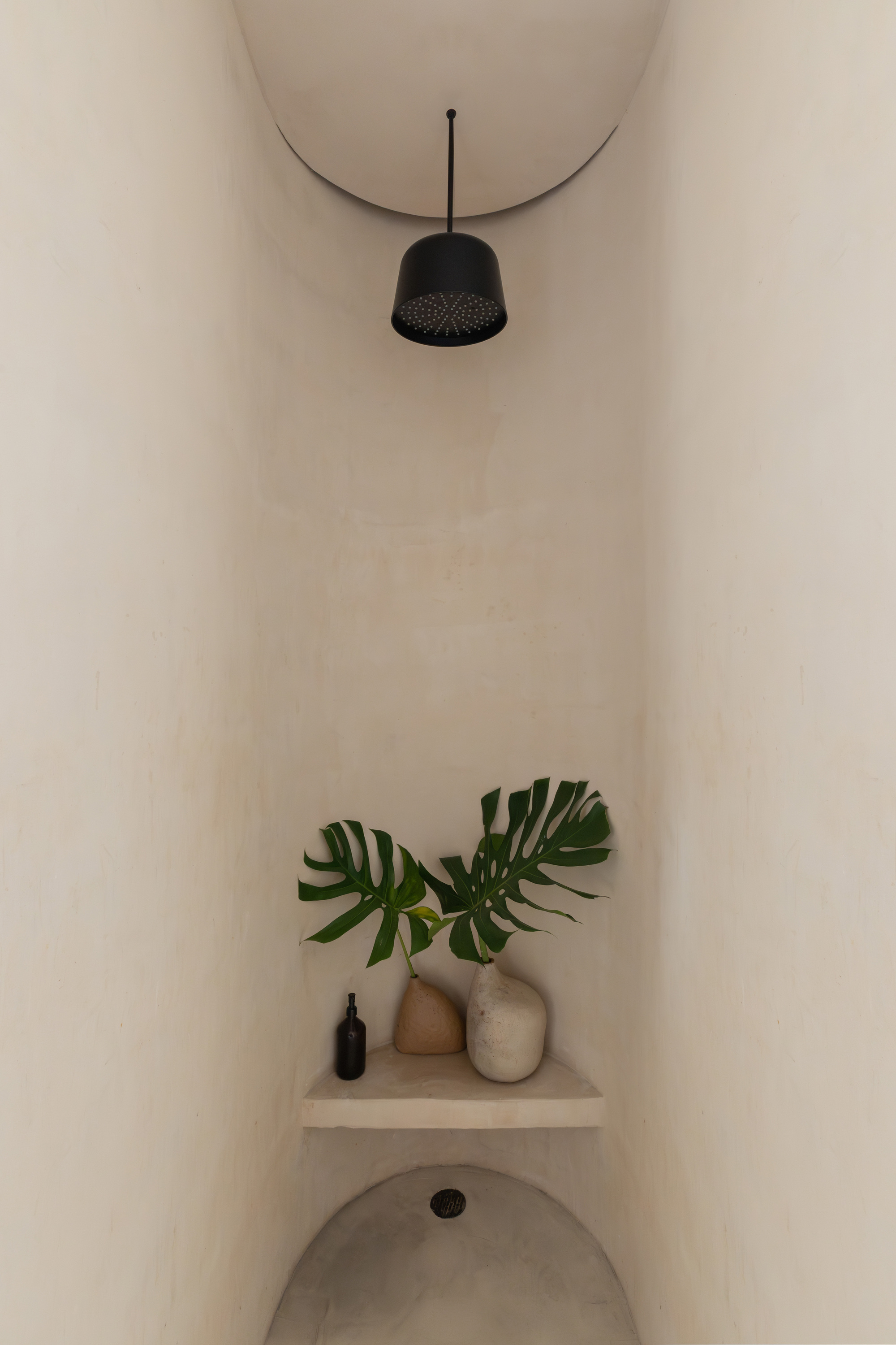 Curved alcove with black pendant fixture above a shelf holding monstera leaves and ceramic vessels