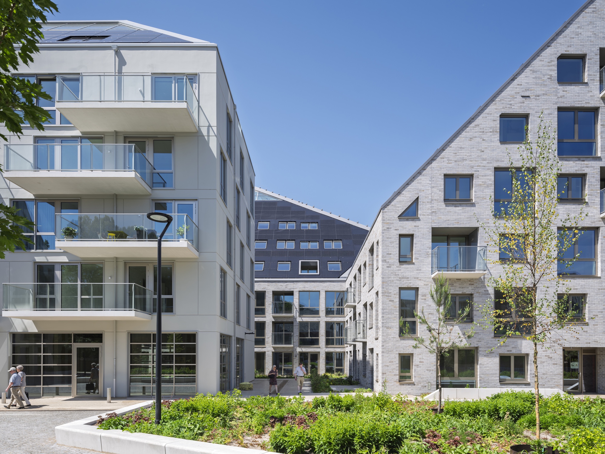 Interior courtyard with young trees and planted beds between white and grey brick buildings