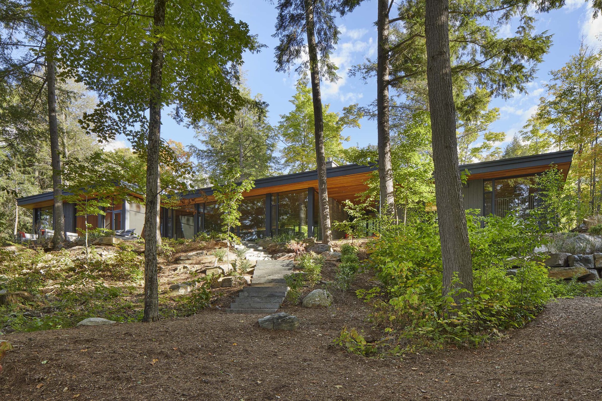 Low-profile residence with flat roofs and floor-to-ceiling glazing nestled among mature trees on a sloped site