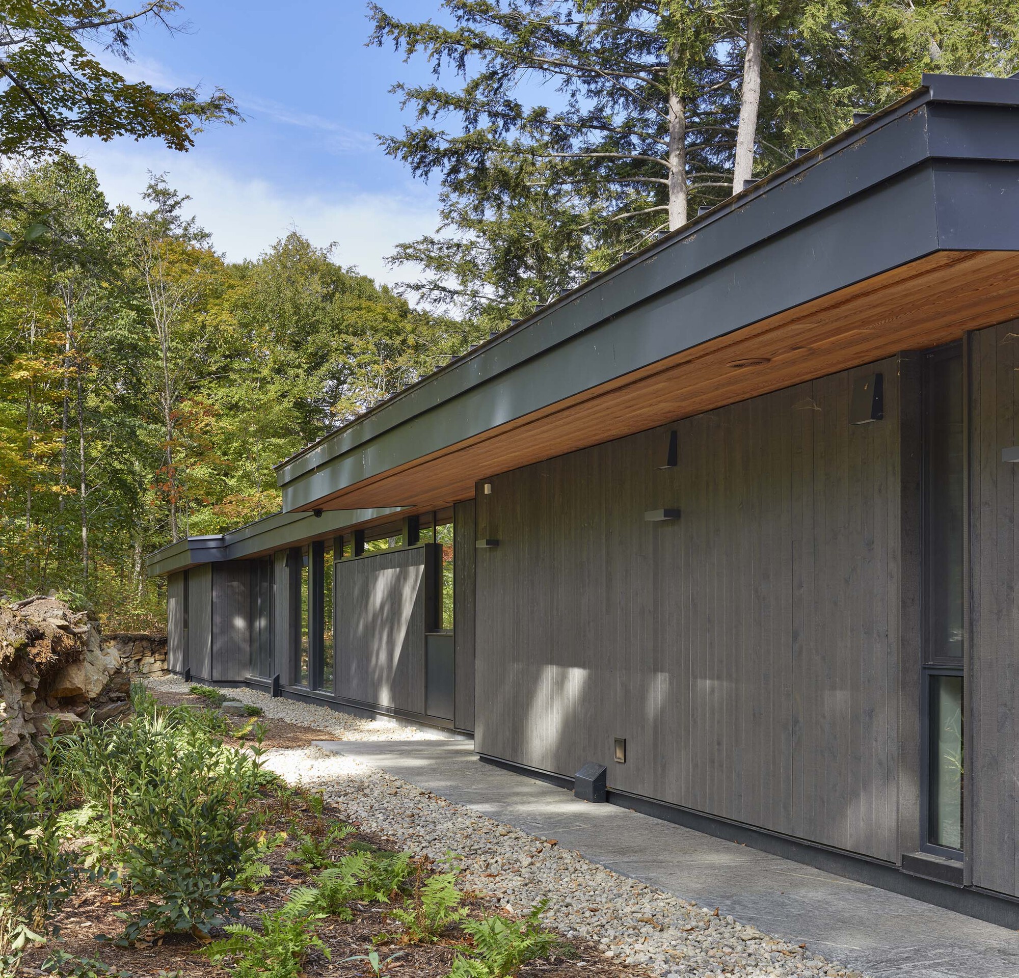 Exterior facade with vertical grey cladding and timber soffit detail along a gravel path