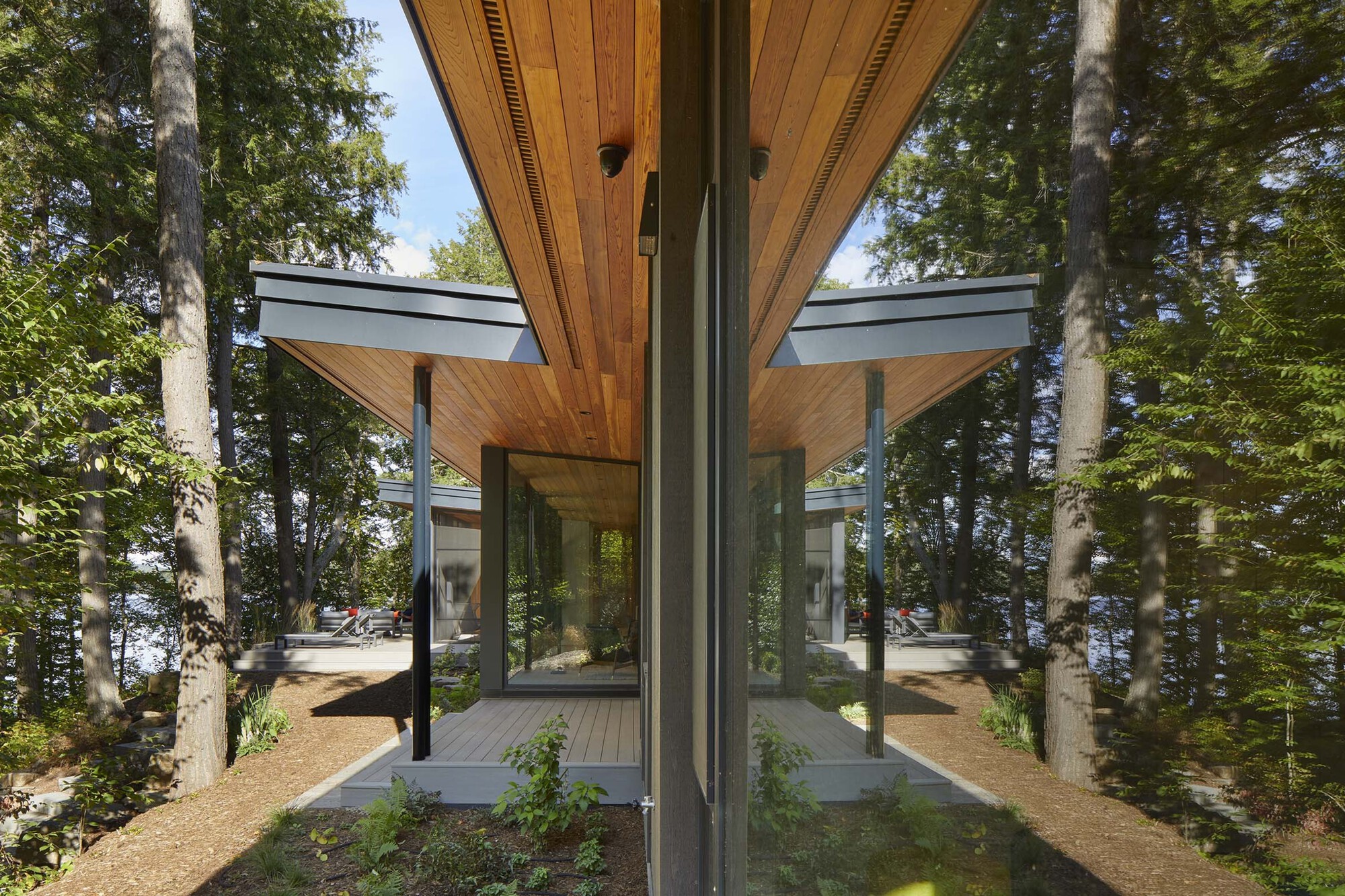 Corner glazing reflecting the timber soffit and tree trunks surrounding the building entry
