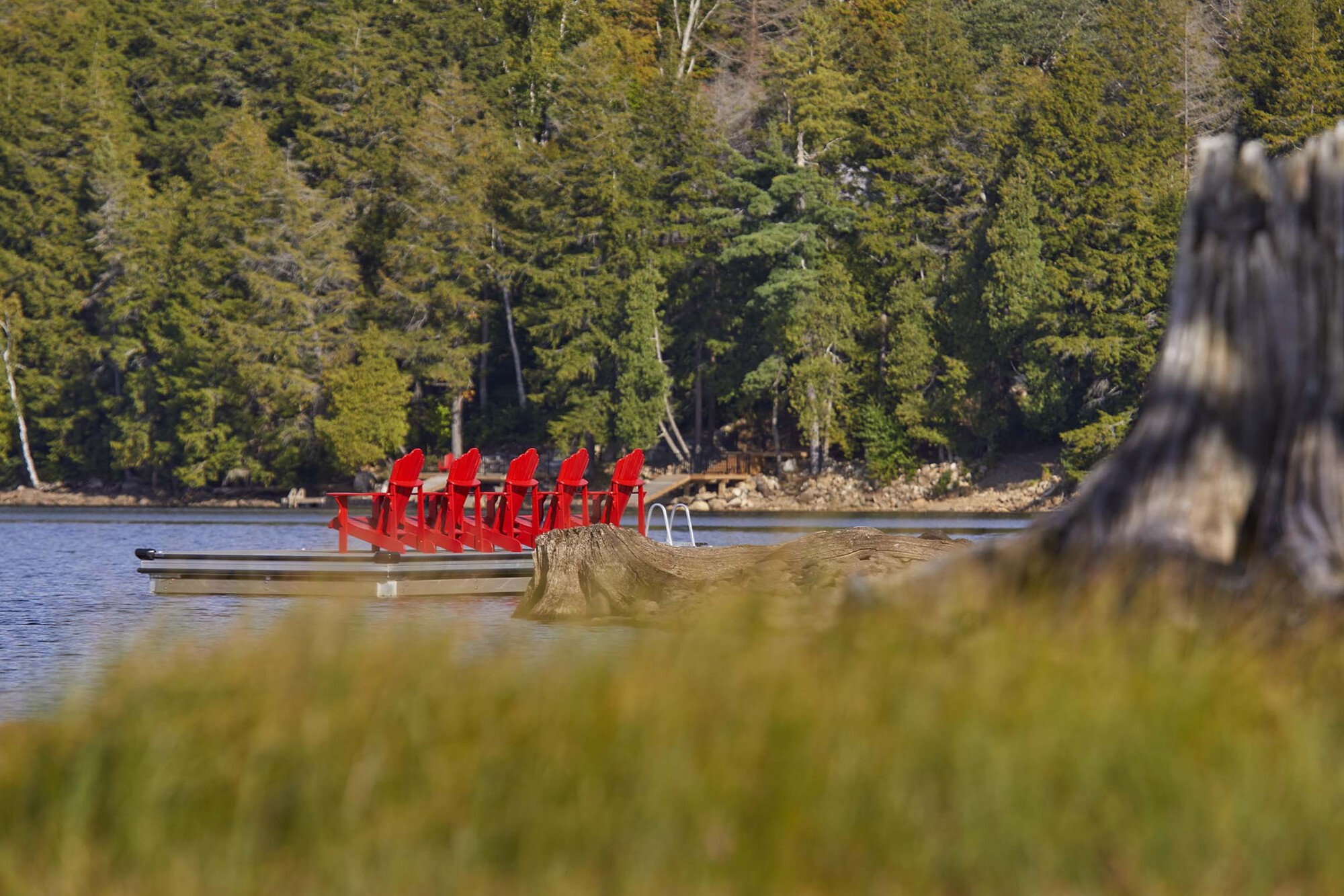 Floating dock with red chairs at the lake edge backed by forested shoreline