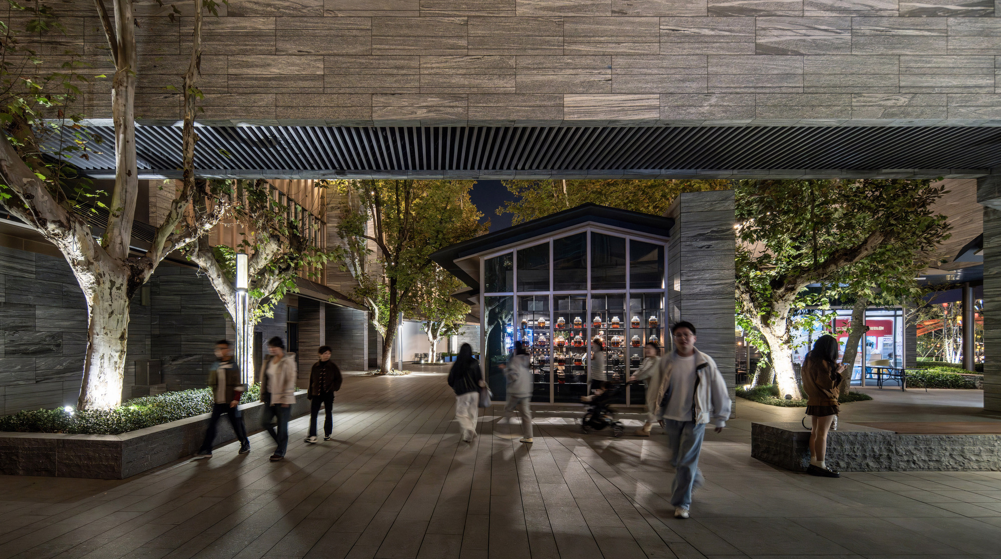 Covered timber deck walkway with slatted canopy and birch trees framing a glass pavilion at dusk
