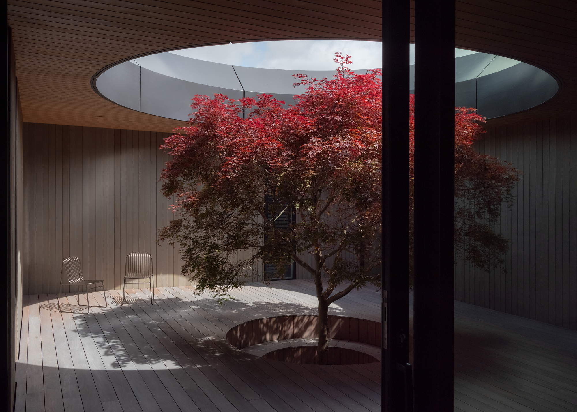 Circular courtyard opening with Japanese maple tree casting shadows on timber deck beneath curving skylight