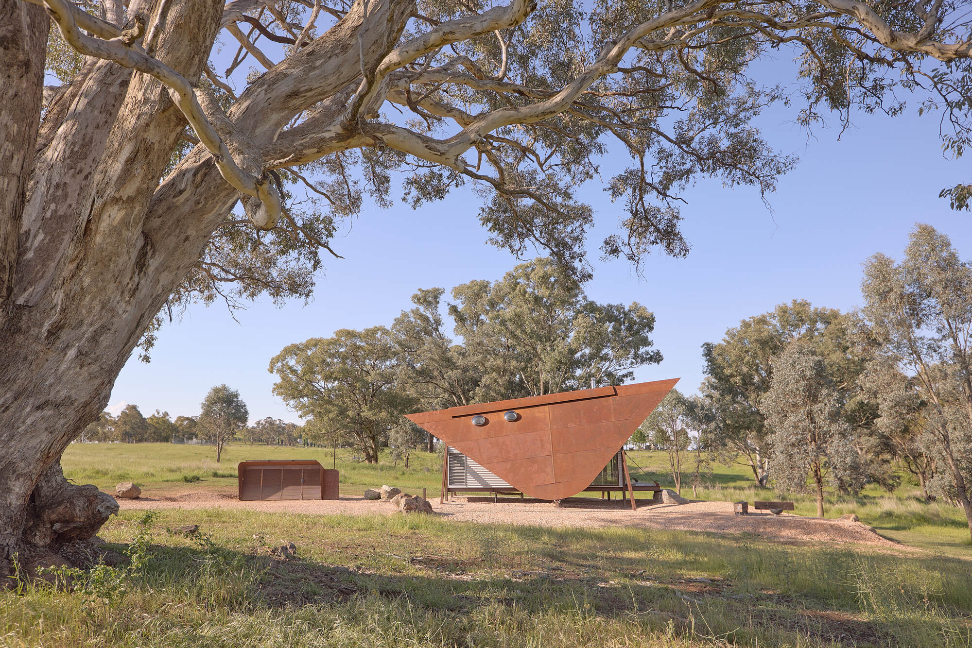 Cabin with angular steel roof beneath a eucalyptus tree in open grassland under clear sky