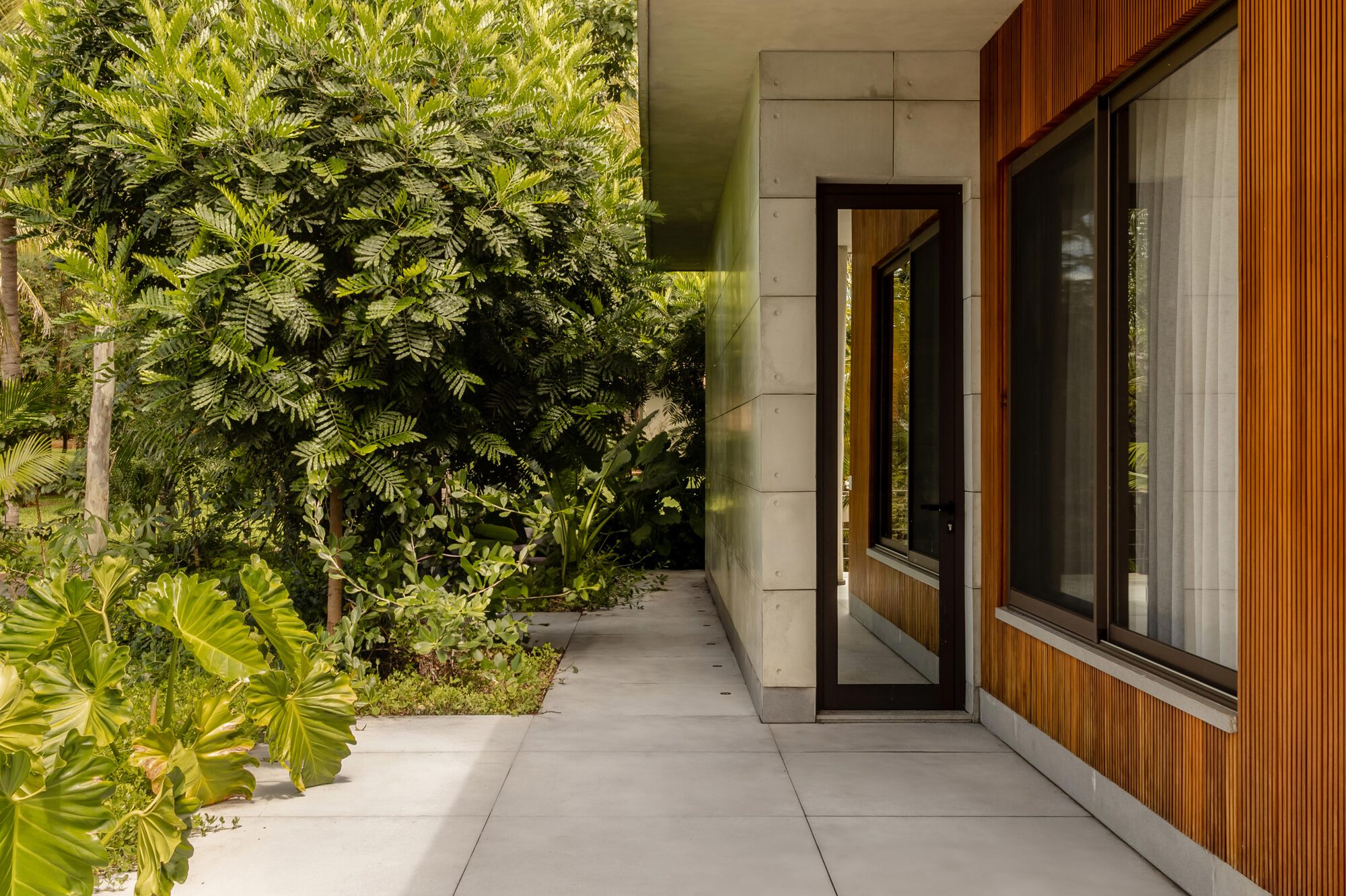 Entry passage with concrete walls and timber screens flanked by dense tropical foliage