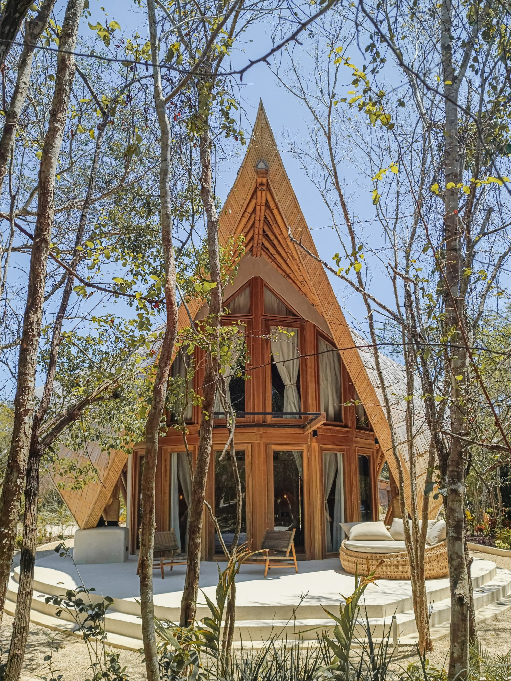 Steep triangular facade with exposed timber ribs and glazed openings framed by young forest growth