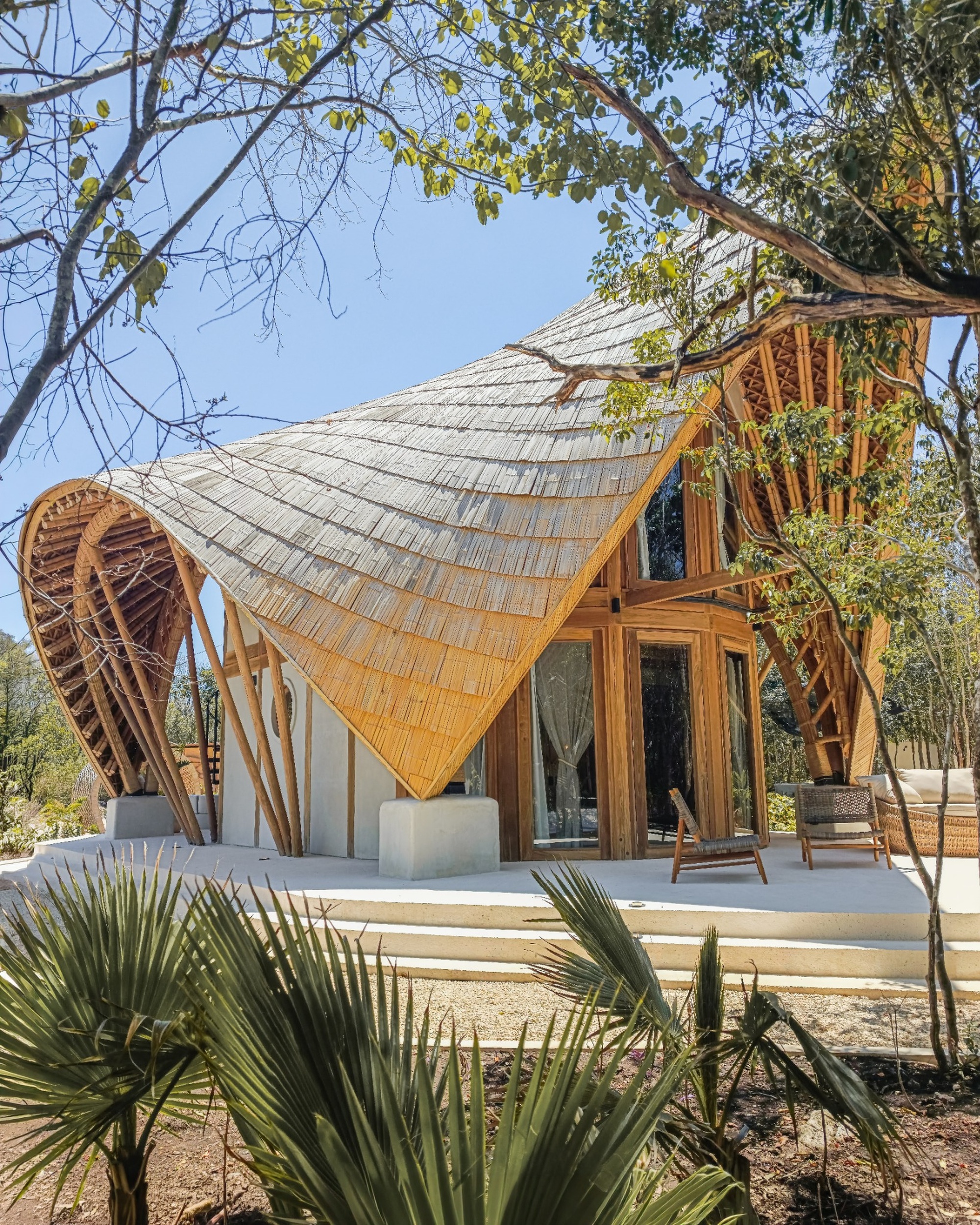 Exterior view of the shingled folded-plate roof supported by exposed timber columns and lattice structure framed by palms