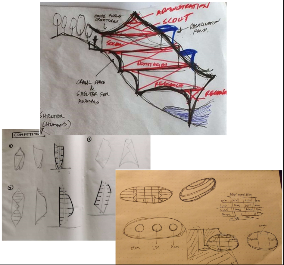 Concept sketches exploring spatial organization, circulation, modular volumes, and the evolution of e-den’s organic geometry.