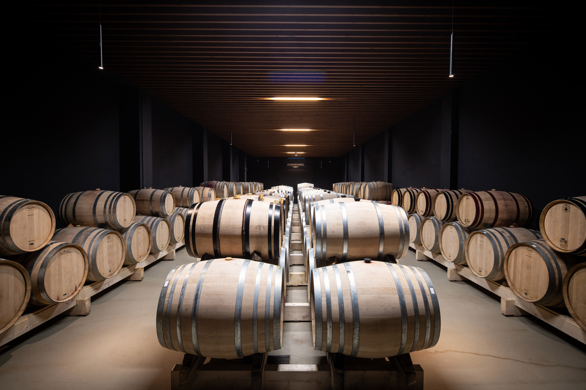 Barrel aging room with rows of oak casks under linear ceiling lighting and dark wood cladding
