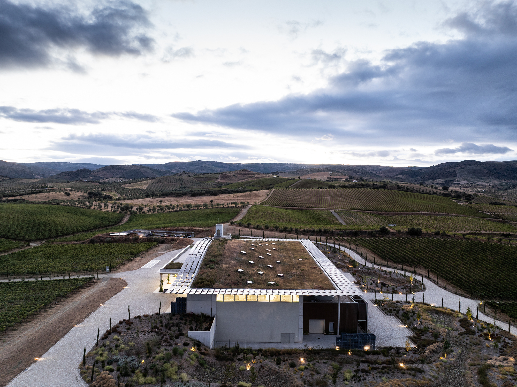 Aerial view of winery with planted roof and solar canopy surrounded by vineyard fields at twilight