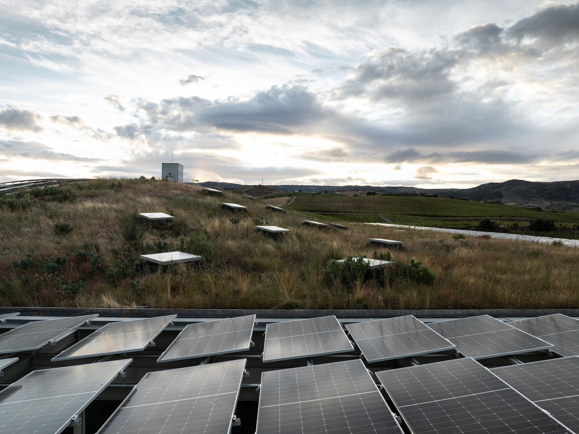 Solar panel array on green roof with vineyard and water tower at dusk