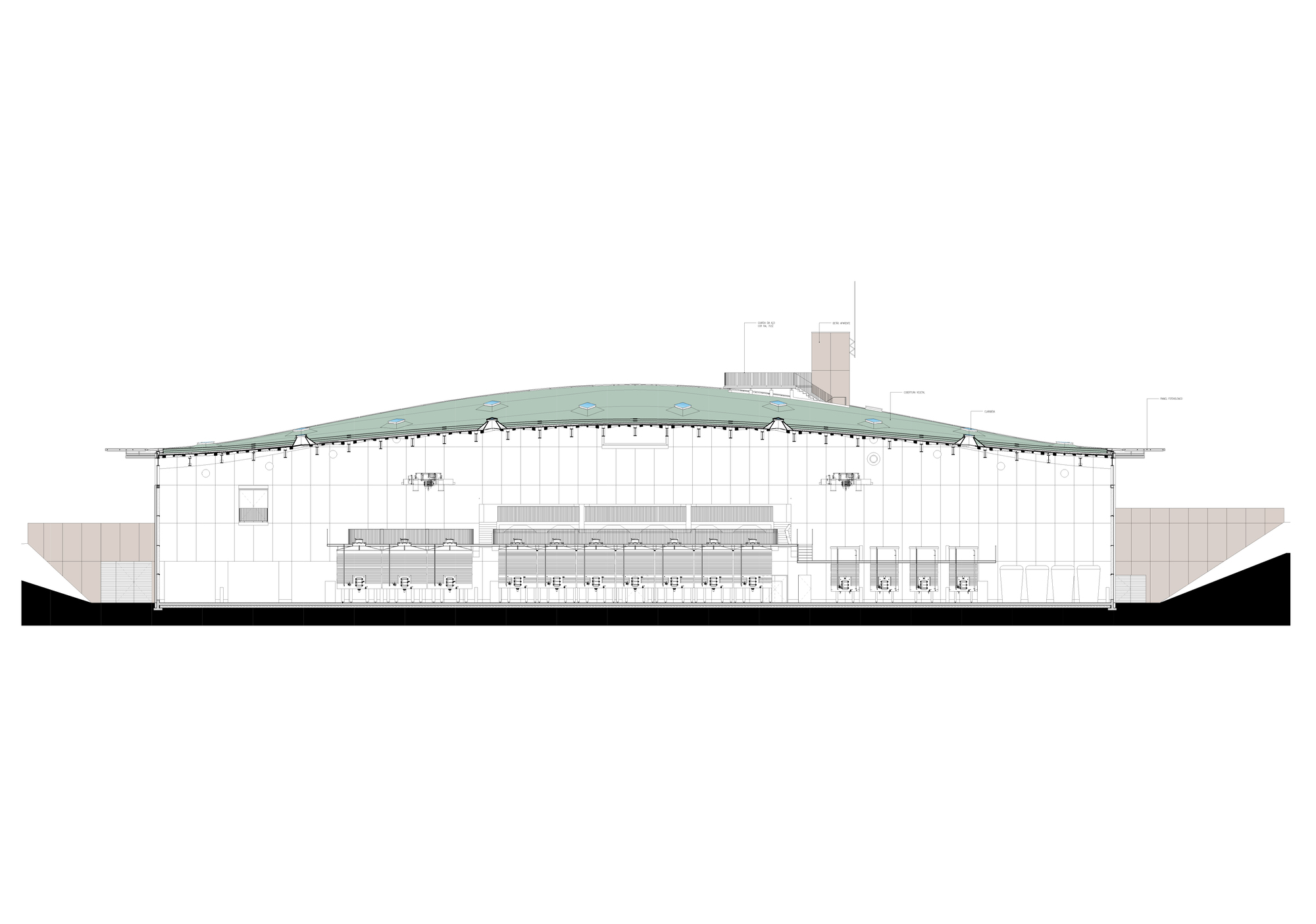 Section drawing revealing the curved roof structure supported by columns above an open interior