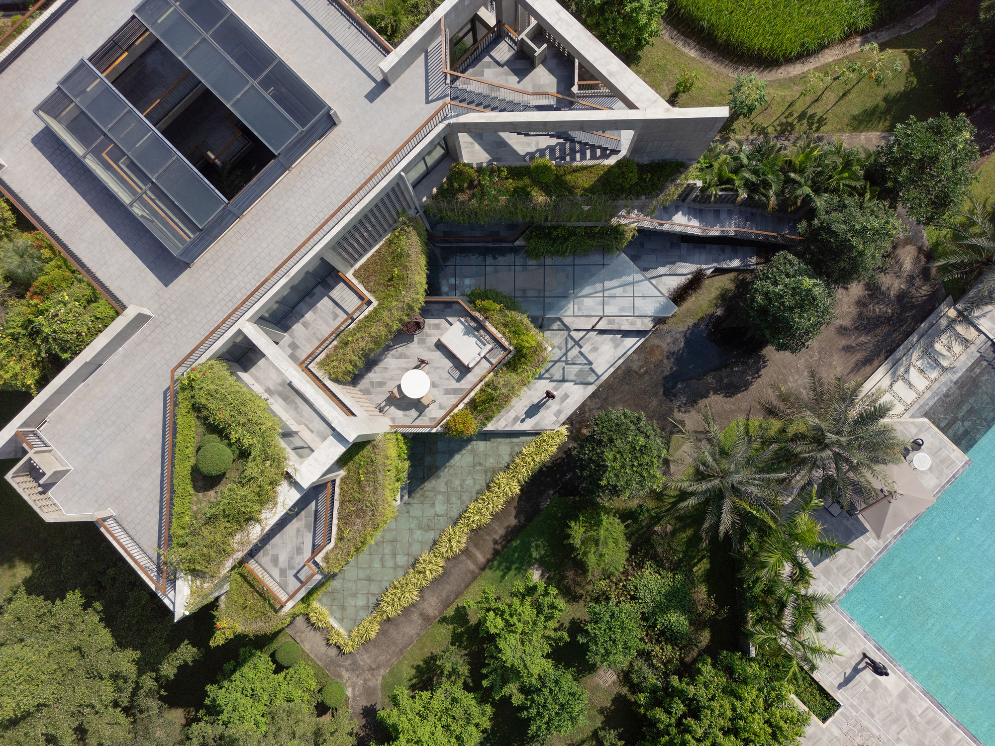 Overhead view of terraced rooftop gardens with planted beds and angular pool surrounded by palms and lawn