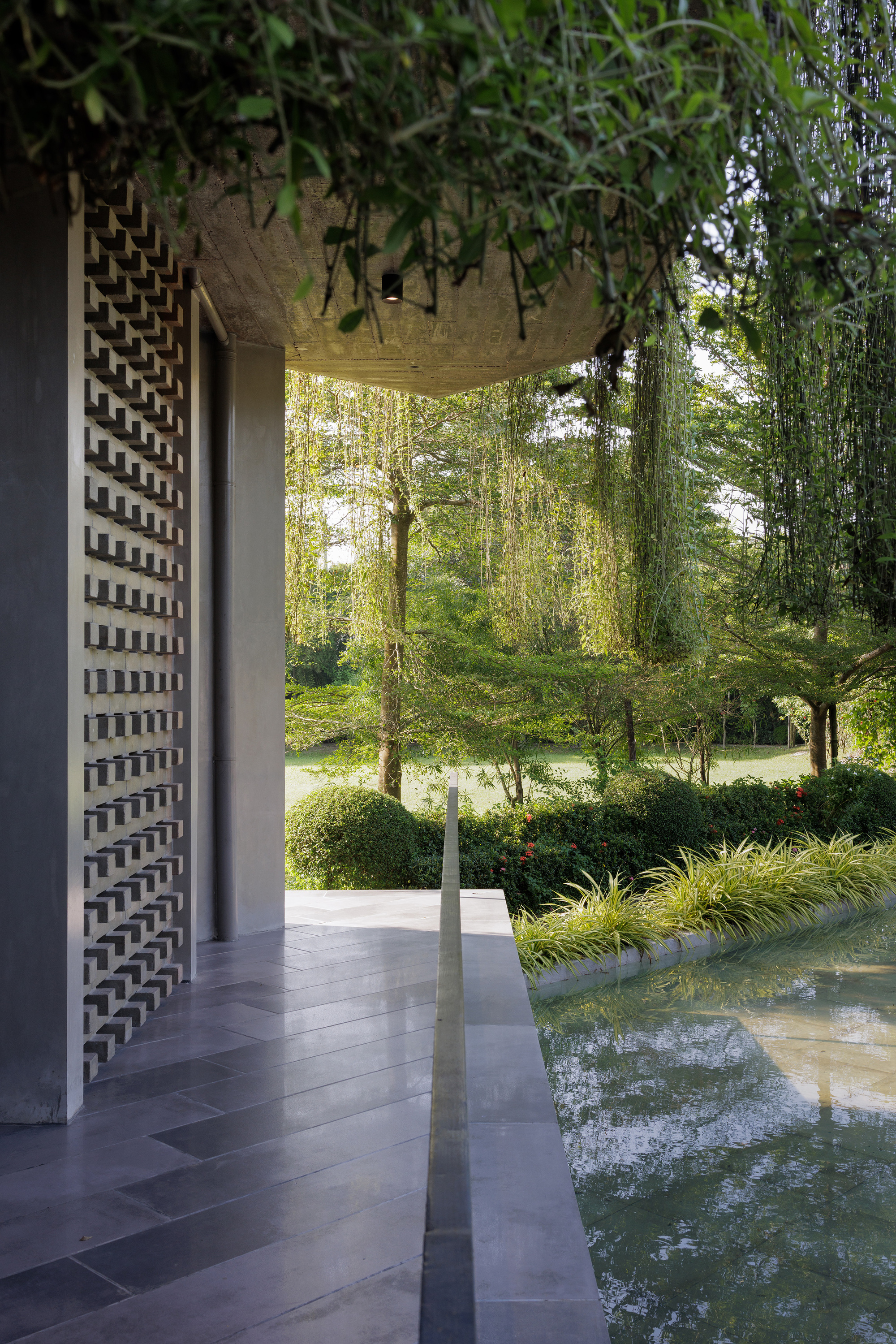 Covered walkway with perforated brick screen wall and concrete overhang draped with climbing vines