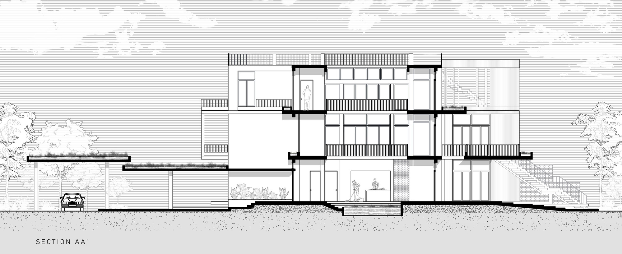 Section drawing revealing multi-level interior spaces with a carport and surrounding trees