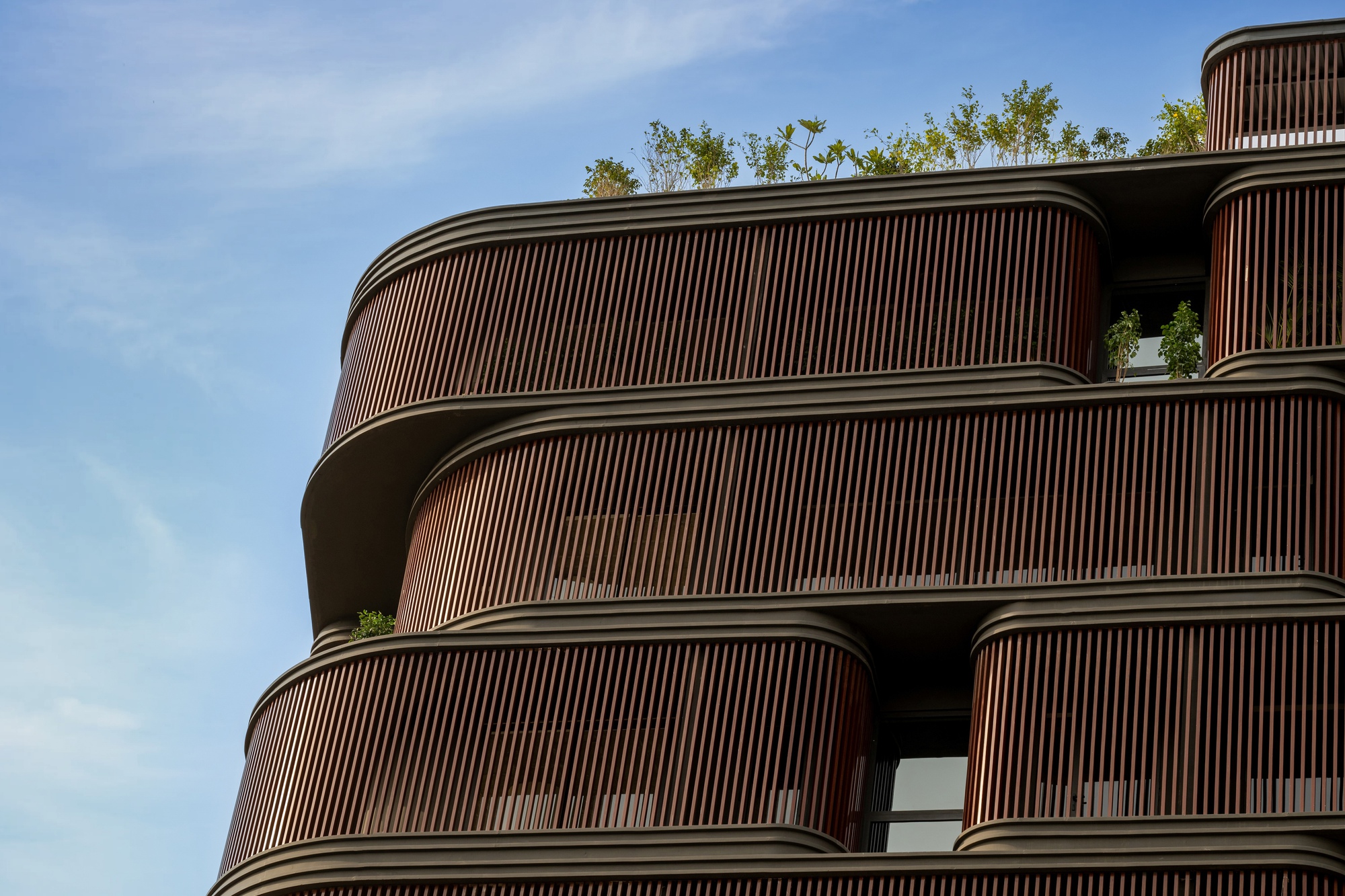 Rounded balconies with vertical timber slats and planted edges against afternoon sky