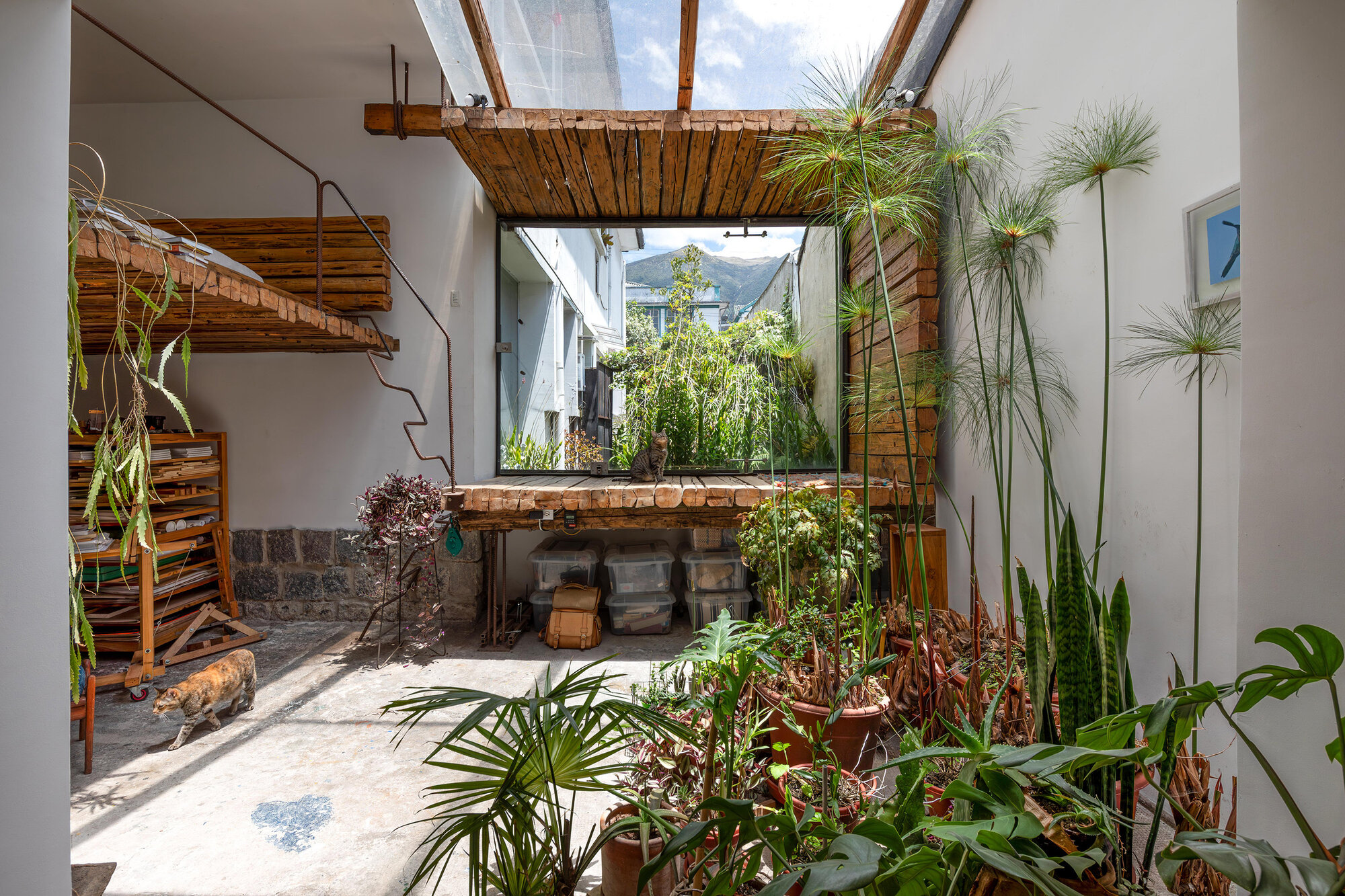 Courtyard view through timber-framed opening with reclaimed brick soffit and abundant container garden below