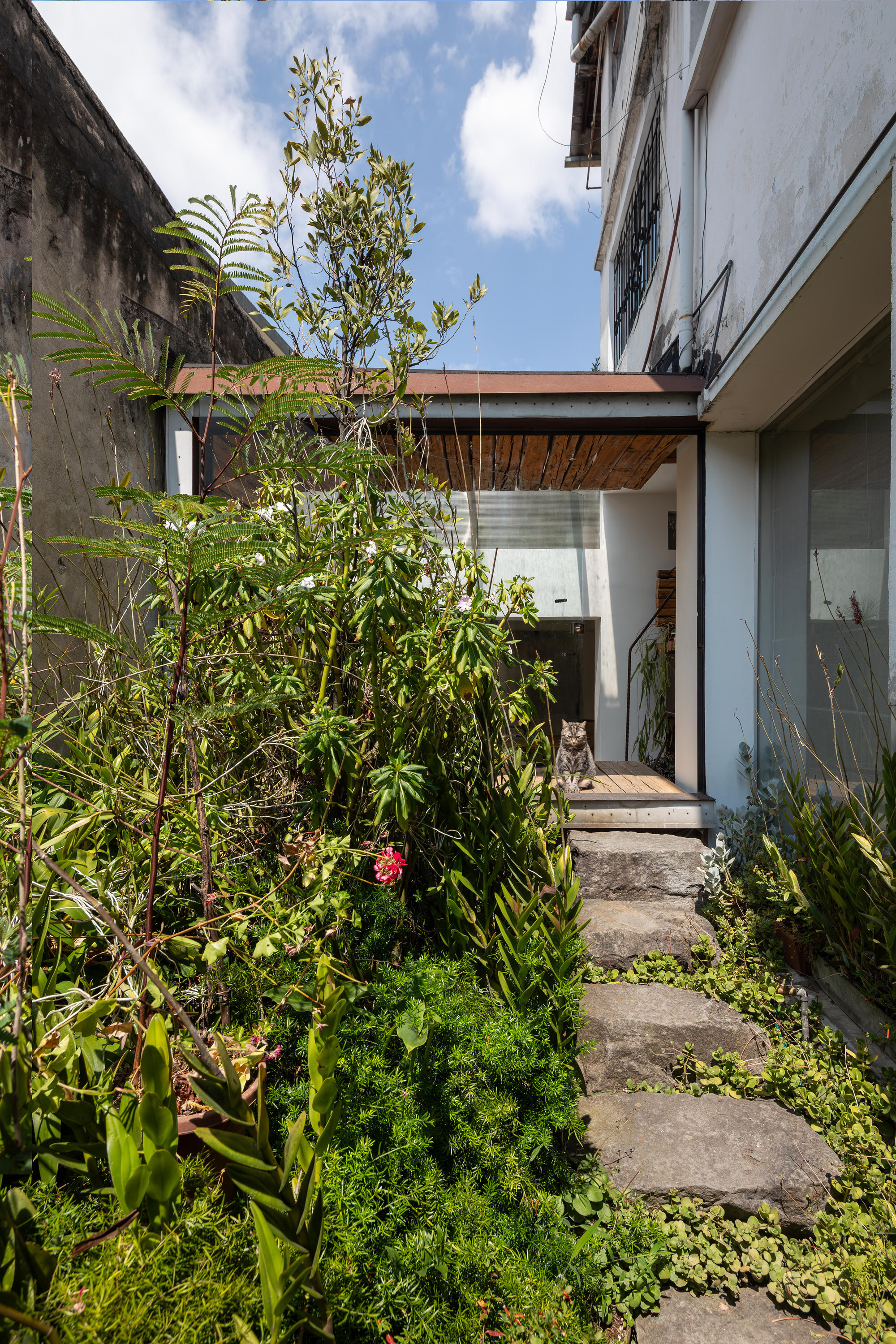 Garden pathway with concrete stepping stones leading to timber-roofed entrance beneath blue sky
