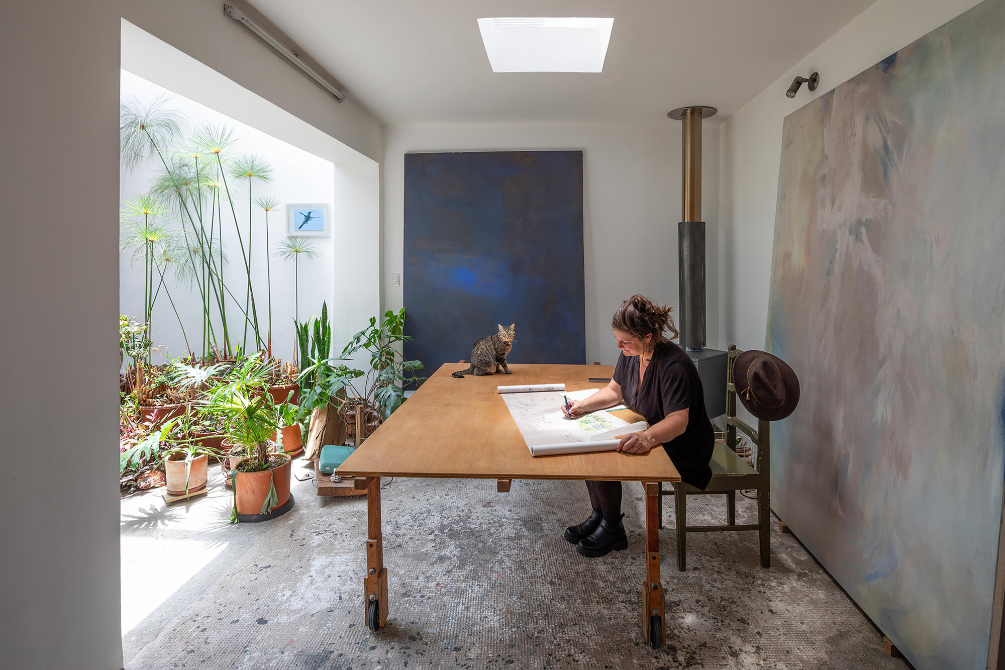 Workspace with timber table overlooking planted courtyard with palms and potted cacti in terracotta containers