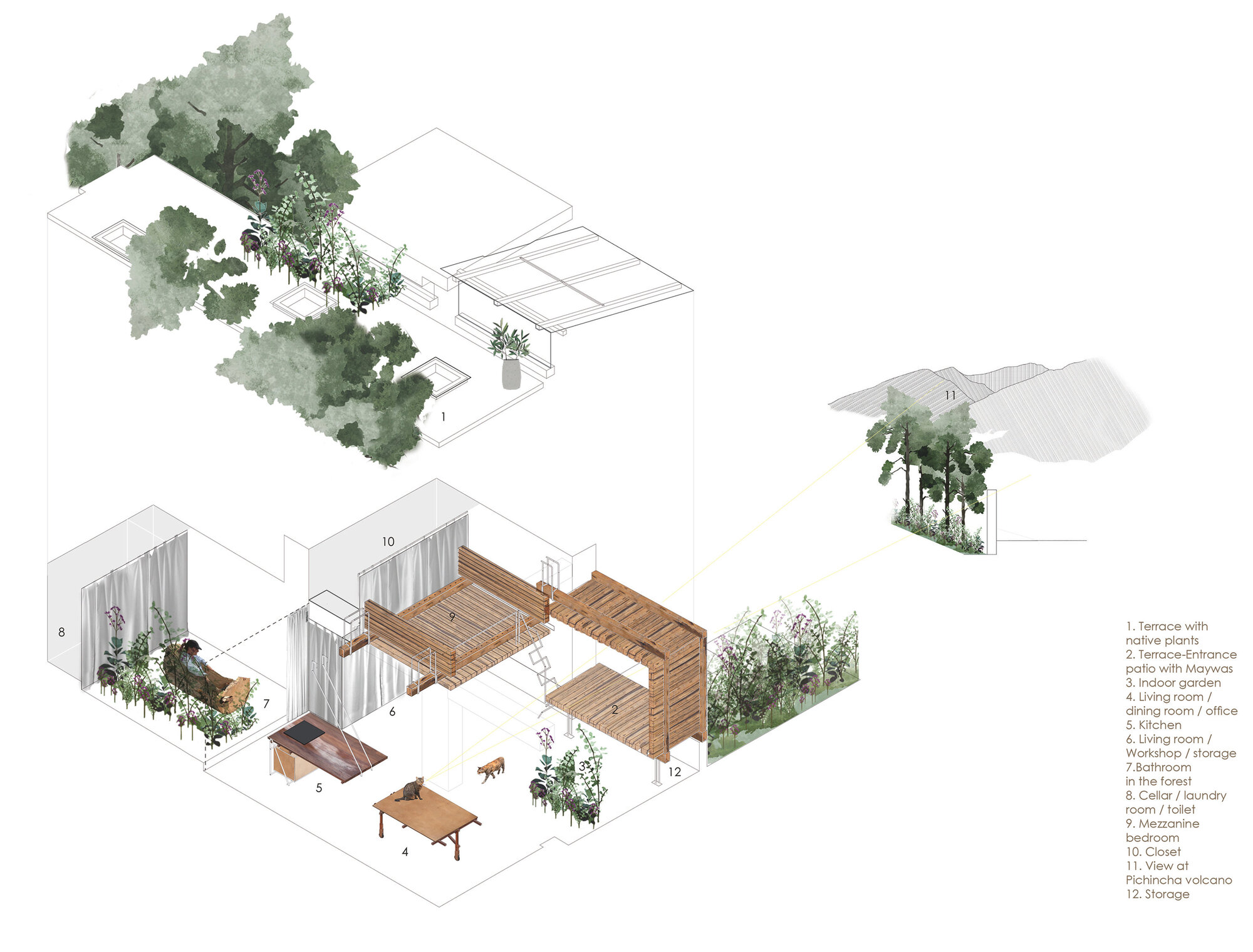 Exploded axonometric drawing with timber decking, interior rooms, and watercolor-rendered trees